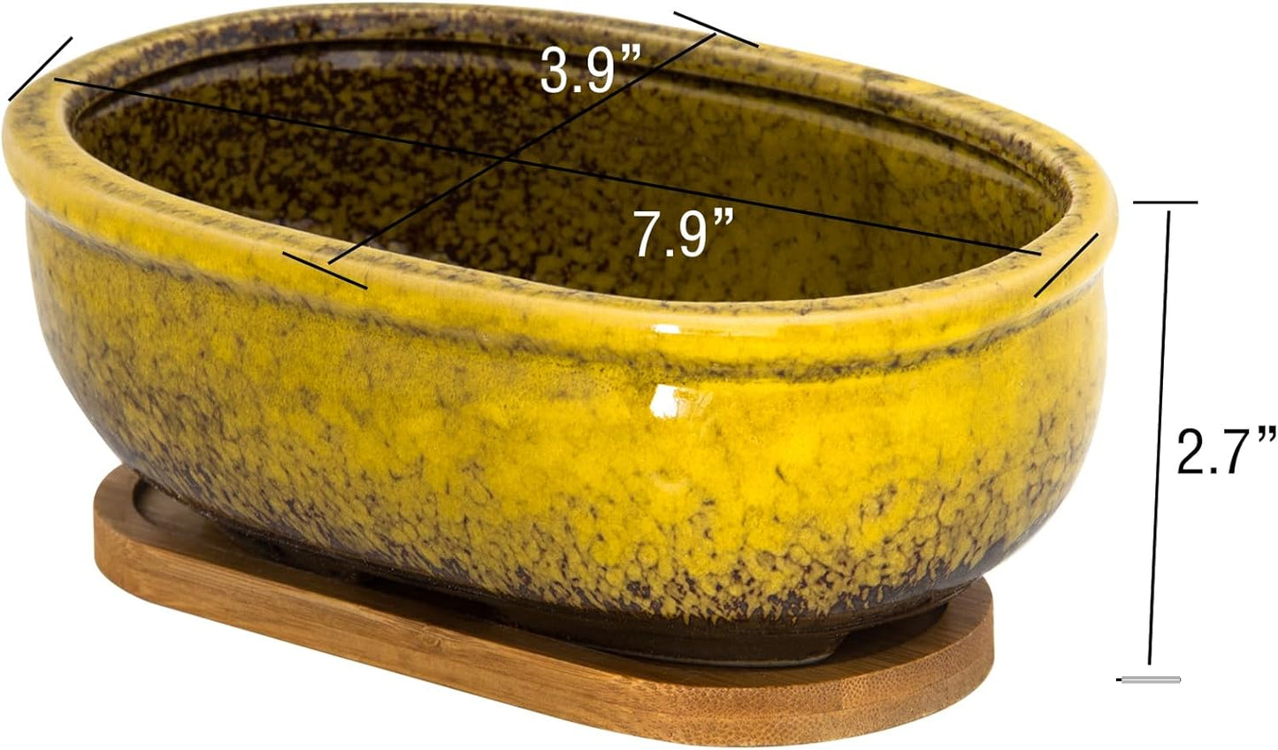 Succulent Pots, 7.9 Inch Long Rectangular Succulent Planters with Drainage Tray, Shallow Planters for Indoor Plants Ceramic Cactus Pots Glazed Bonsai Flower Plant Container for Home Windowsill Decor