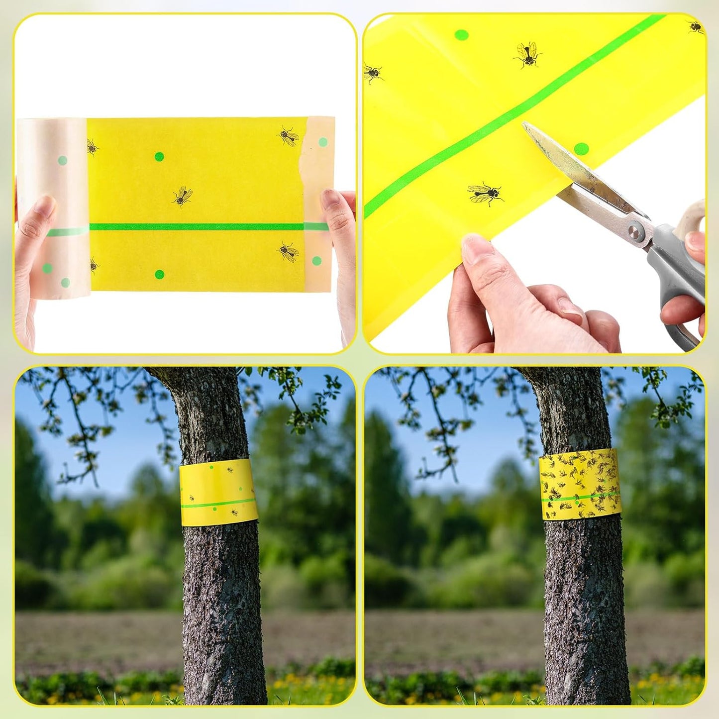 Qualirey 6 Rolls Spotted Lantern Fly Traps 30 Feet Each Roll Fly Tree Trap Sticky Strips Outdoor Fruit Glue Strips Disposable Tape Indoor Paper Sheets for Protecting Trees(Classic Color)