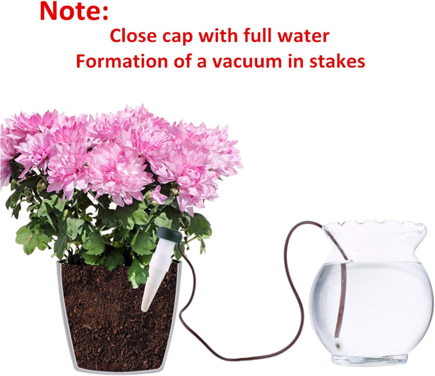 Hestya 10 Pack Plant Watering Stakes Automatic Devices Plant Self Drip Irrigation Slow Release Indoor Outdoor Terracotta Water Spikes for Potted Plants Flower (Black Base)