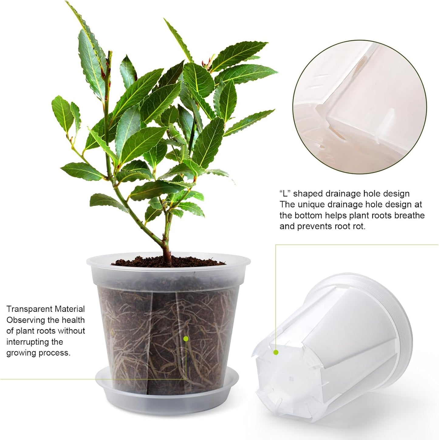 Transparent Plants Nursery pots with Tray 4/5/6 Inch Hard Material Plastic Planter with Drainage Hole,Durable Seed Starting Pots Plant Container, with 12pcs Plant Labels, a Maker Pen, 12 Sets