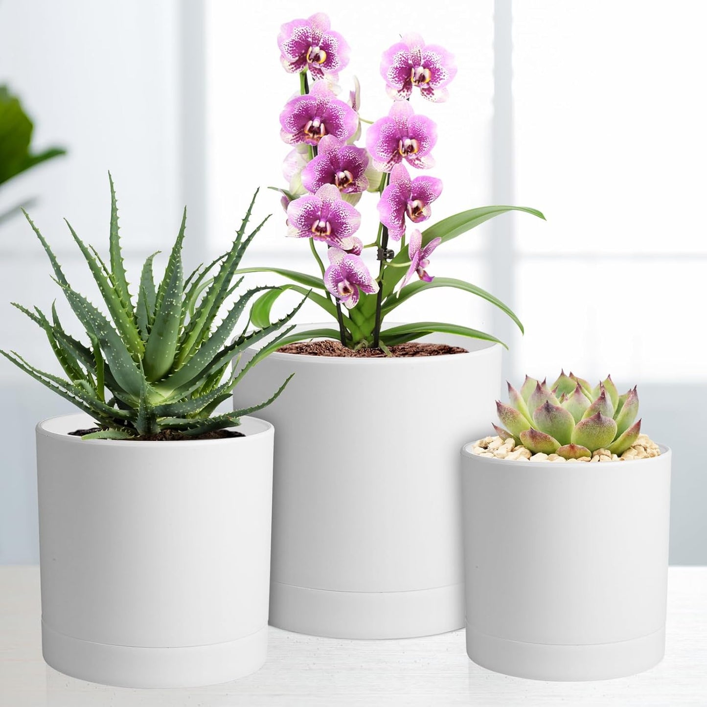 6/5/4 inch Flower Pots, Pack of 3 Cylinder Plant Pots for Small Indoor Outdoor Plants, Plastic Planters with Drainage Holes and Saucers for Garden Succulent Nursery House Plants, White