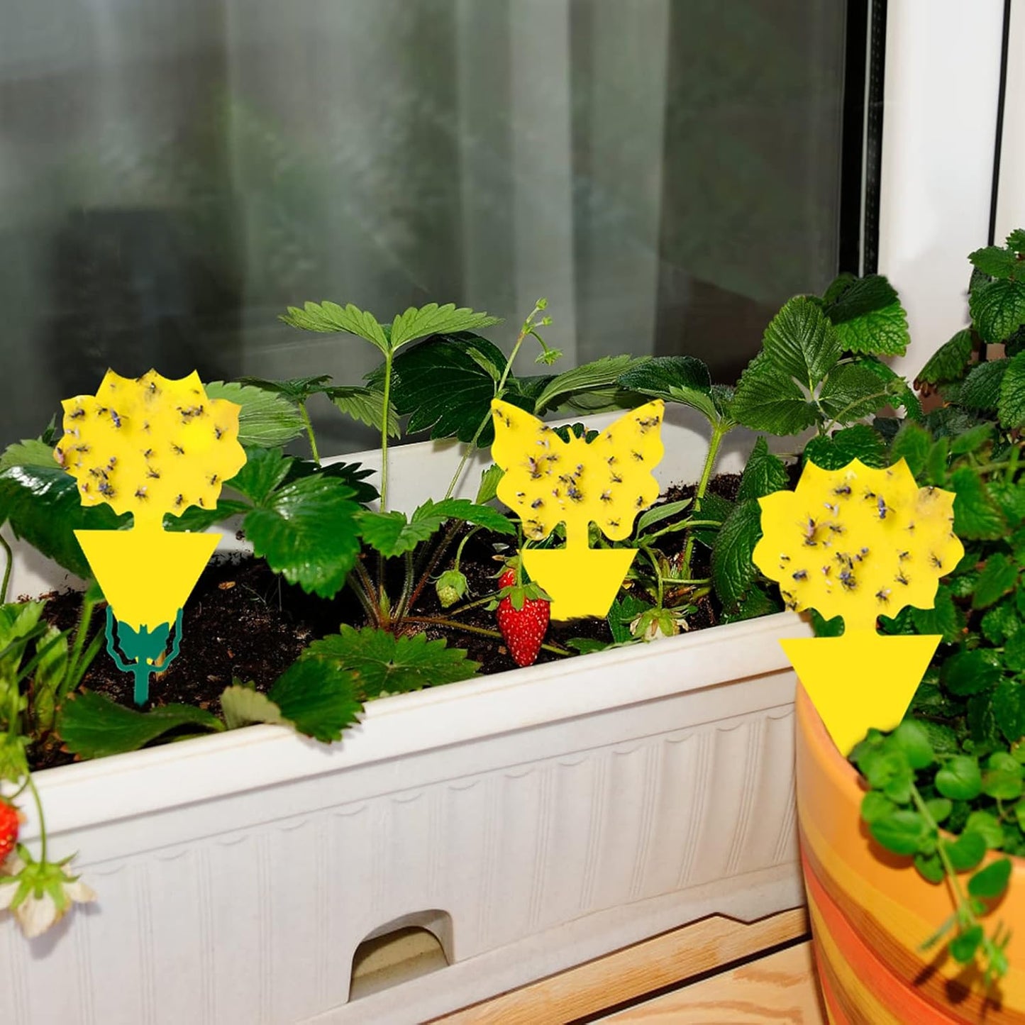 120 Pack Fruit Fly Trap for Indoors, Fungus Gnat Killer Indoor Sticky Traps for Mosquito and Flying Insects, Bug Pest Insect Catcher Killer for Houseplant Non-Toxic