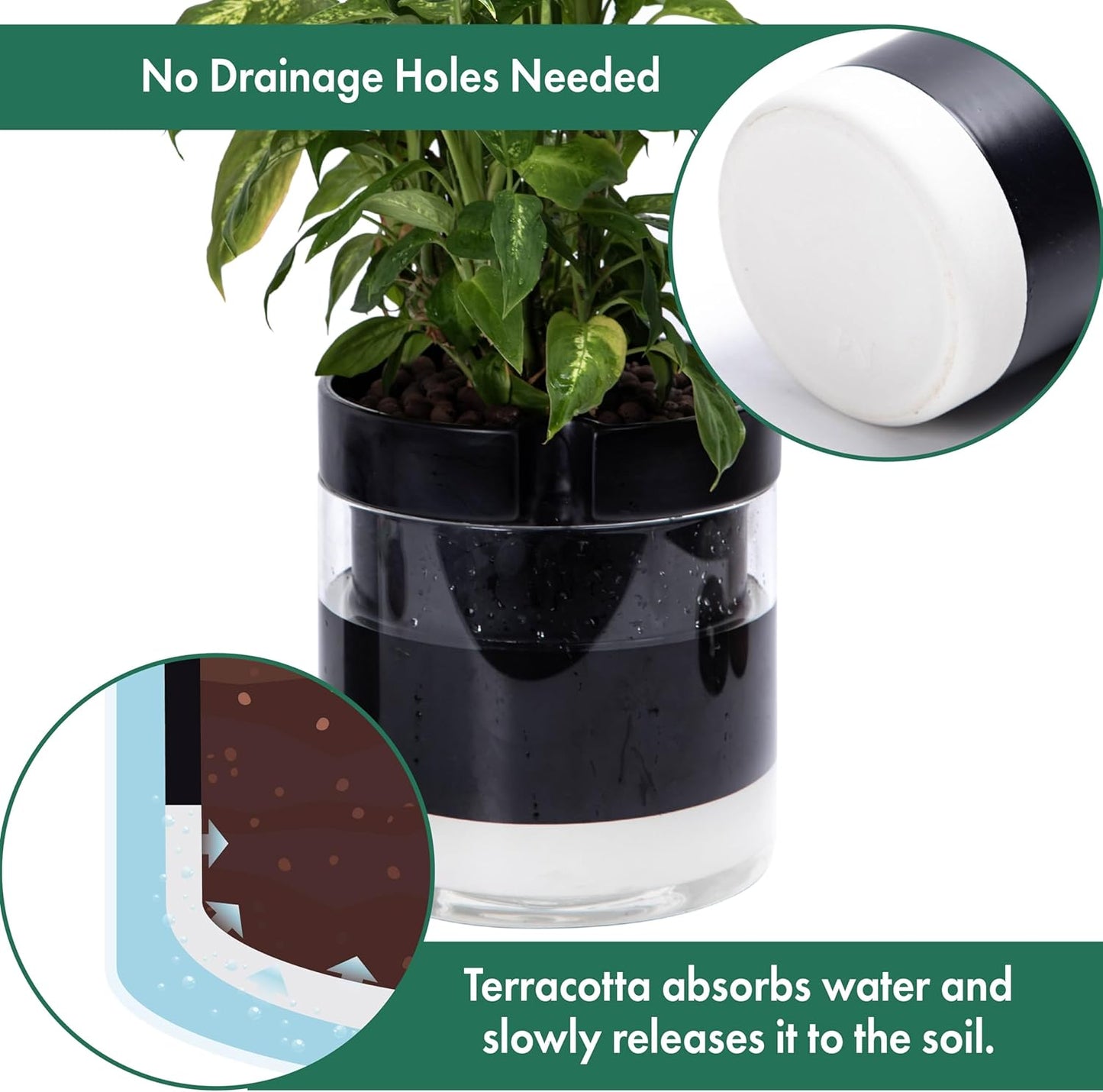 Phoenix Vine 10 Inch Self Watering Terracotta Planter, Black Terracotta Clay Pot with Glass Reservoir for Indoor Plants, Herbs, Flowers, Set of 1, 52-C-I-1