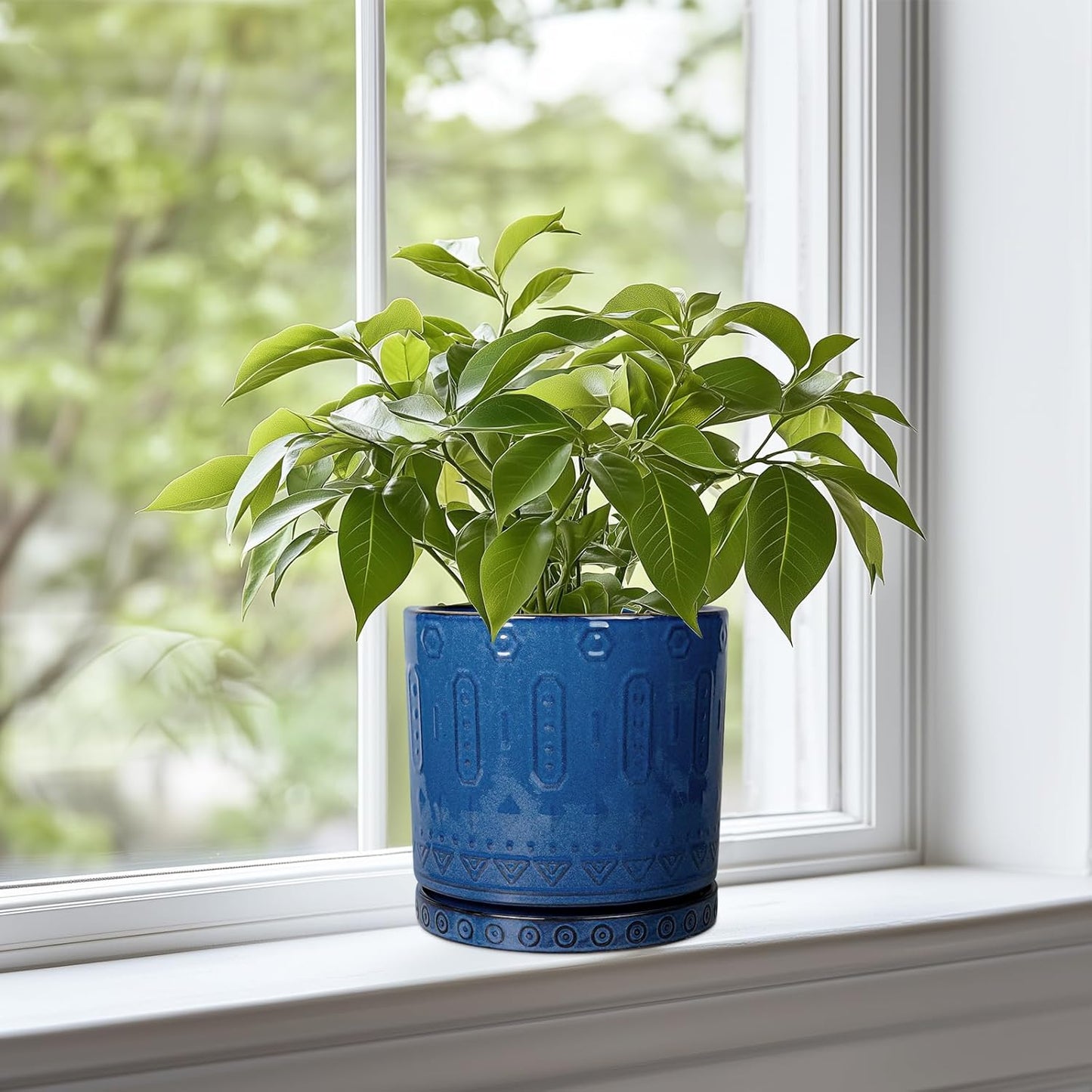 6 Inch Plant Pot - Ceramic Planter for Outdoor Plants Indoor Plant Pot with Drainage Holes and Saucer Succulent Pot Modern Round Flower Pot for House Room Decor Blue