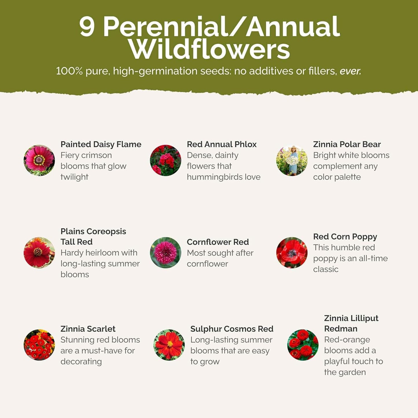 Eden Brothers Big Red Flower Mixed Seeds for Planting, 1 lb, 480,000+ Seeds with Painted Daisy Flame, Zinnia, Red Phlox | Attracts Pollinators, Plant in Spring or Fall, Zones 3, 4, 5, 6, 7, 8, 9, 10