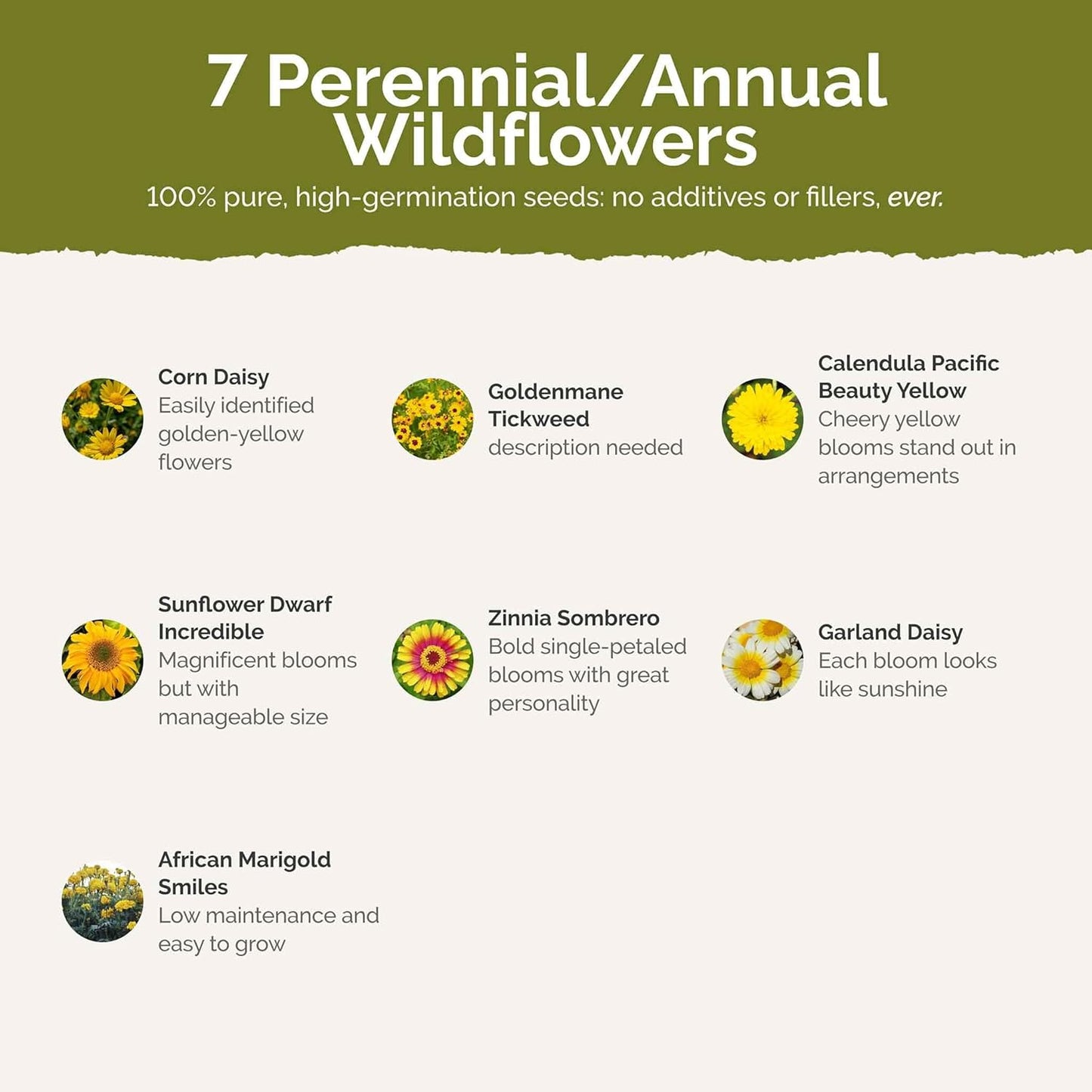 Eden Brothers Mellow Yellow Flower Mixed Seeds for Planting, 1 lb, 480,000+ Seeds with Painted Daisy, Zinnia, Cosmos | Attracts Pollinators, Plant in Spring or Fall, Zones 3, 4, 5, 6, 7, 8, 9, 10