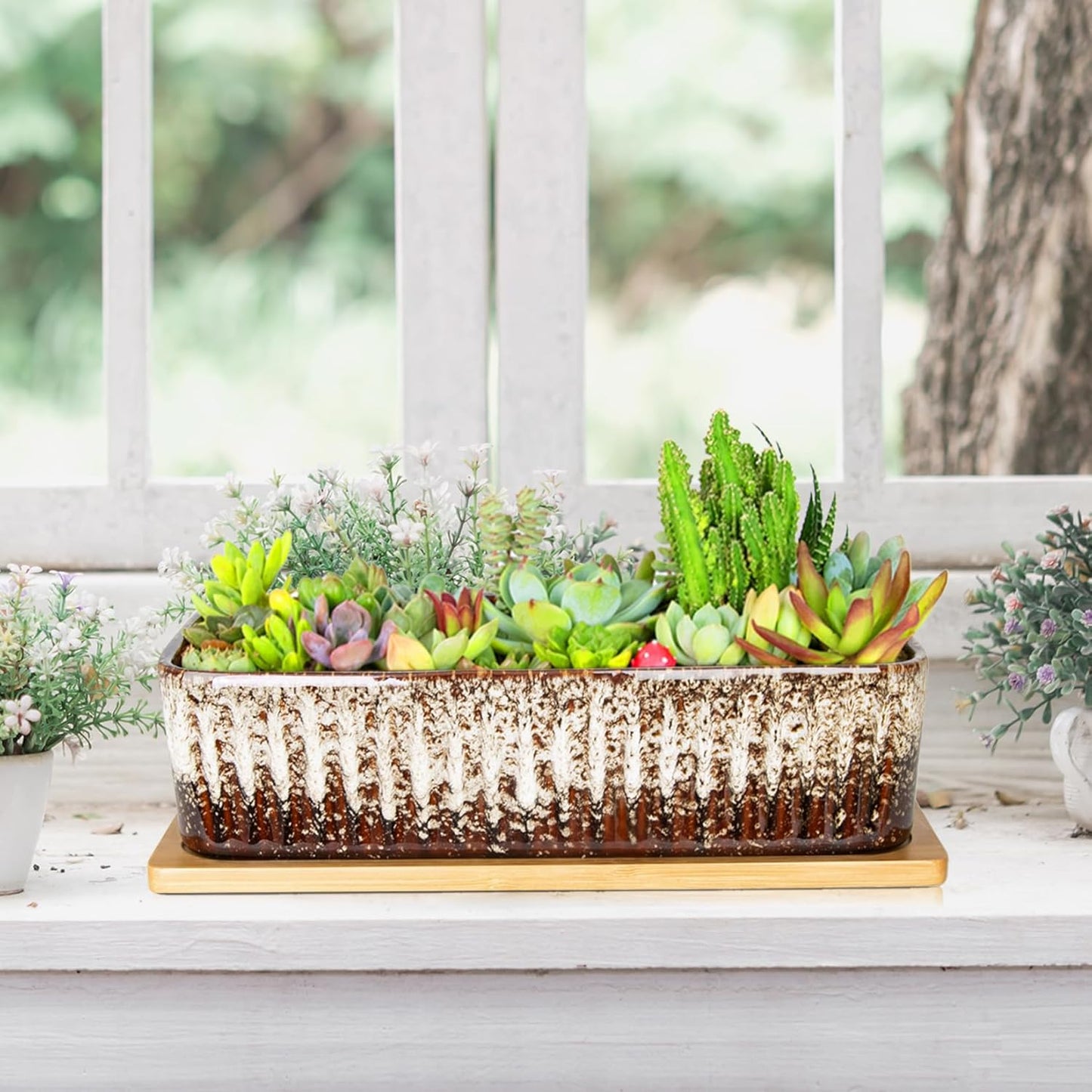 Succulent Pots - 12 Inch Large Succulent Planters with Drainage Tray, Window Sill Planter, Long Rectangle Ceramic Pots for Indoor Cactus Plants Shallow Bonsai Window Box for Home Garden Decor