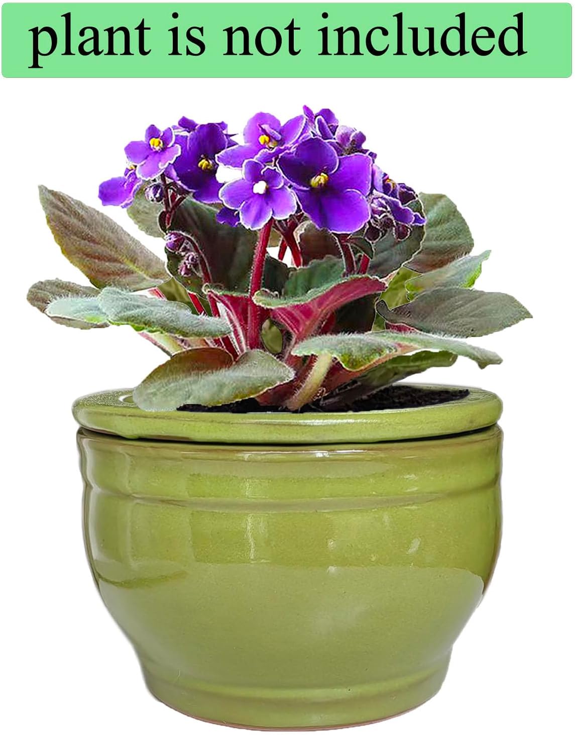 African Violet Pots Self Watering Round Ceramic Violet Pot (Green, 6 inch)