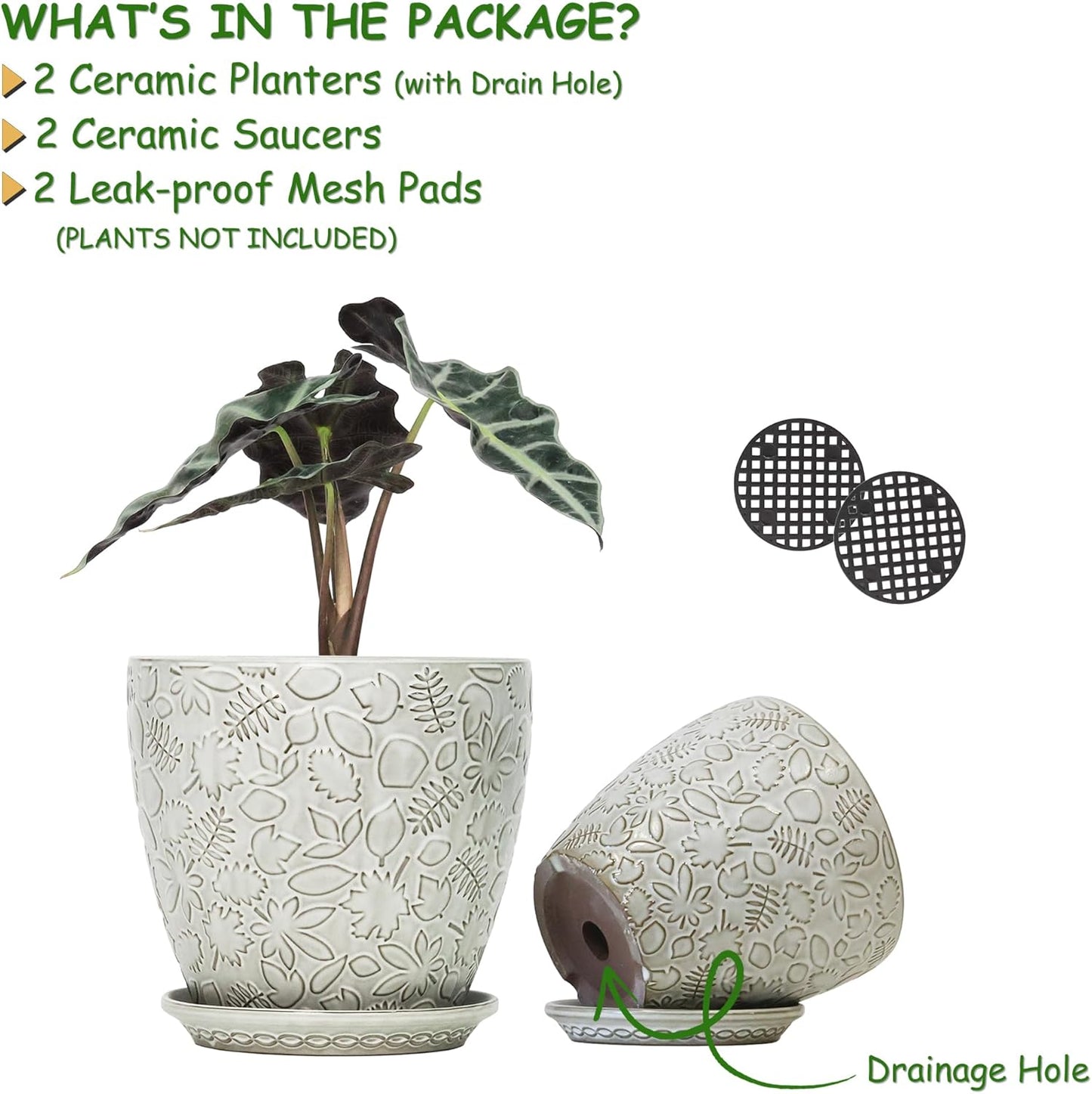 8 Inch + 6 Inch Retro Ceramic Planter Set of 2 with Drainage Hole and Saucer for Multiple Plants, Indoor-Outdoor Garden Pots for Succulent, Orchid, and Flower (Retro White)