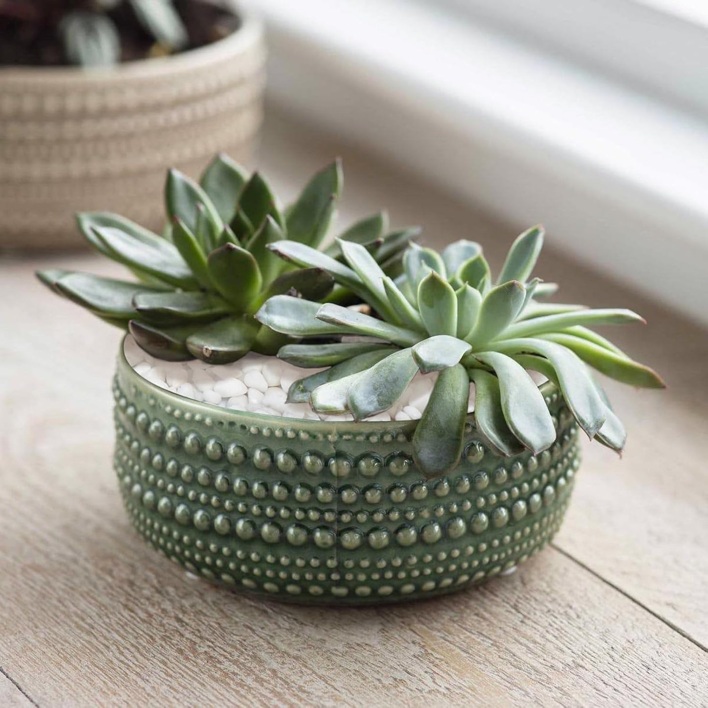 2.2 LB White Pebbles for Plants, 3/8 inch White Rocks for Vases Landscaping, Small Decorative Stones for Indoor Outdoor, Polished