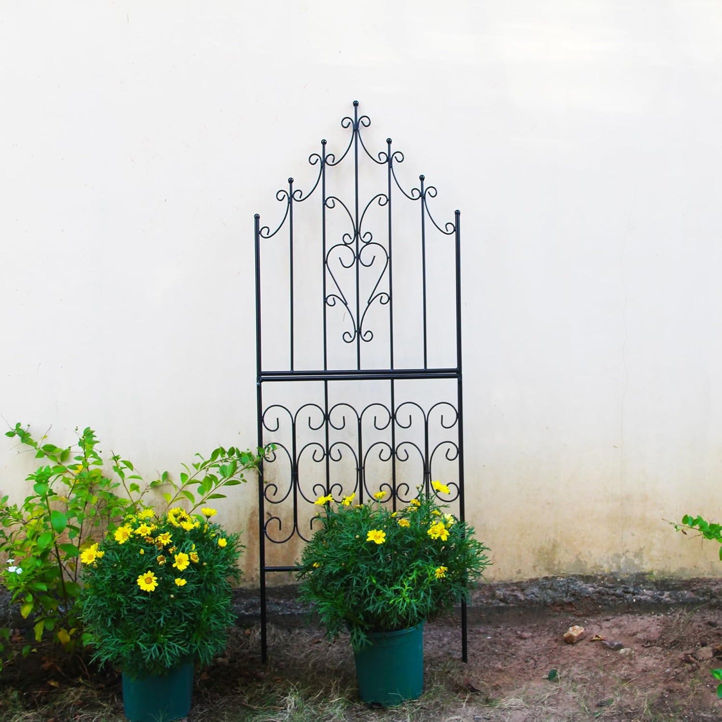 Trellis 59" H x 21.6" W Iron Unique Design Metal Trellis Durable Construction Lattice Outdoor Roses Vine Ivy Clematis Trellises Climbing Plant Support Black Coating Black