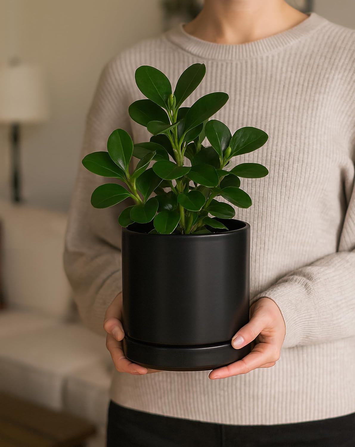 D'vine Dev 4.7 Inch & 6.5 Inch Ceramic Planter Pots for Plants with Drainage Hole and Saucer, Small Plant Pots Set, Black, 94-G-S-2