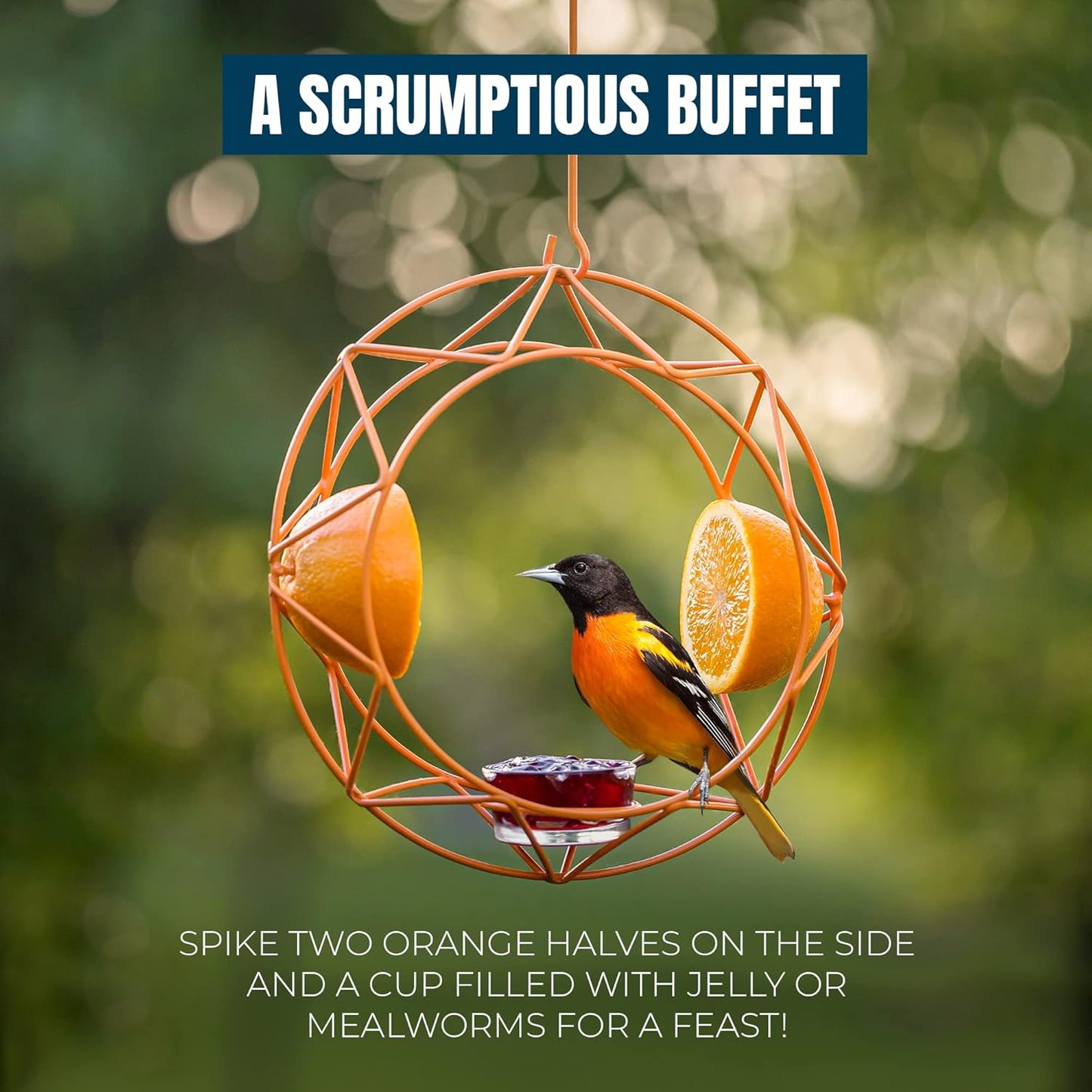 MEKKAPRO Sun Baltimore Oriole Feeder for Outdoors, Jelly and Orange Metal Bird Feeder, Unique Sun Design and Bright Color Oriole Bird Feeder, Open Top Hook, UV-Resistant Powder-Coated Steel (Single)