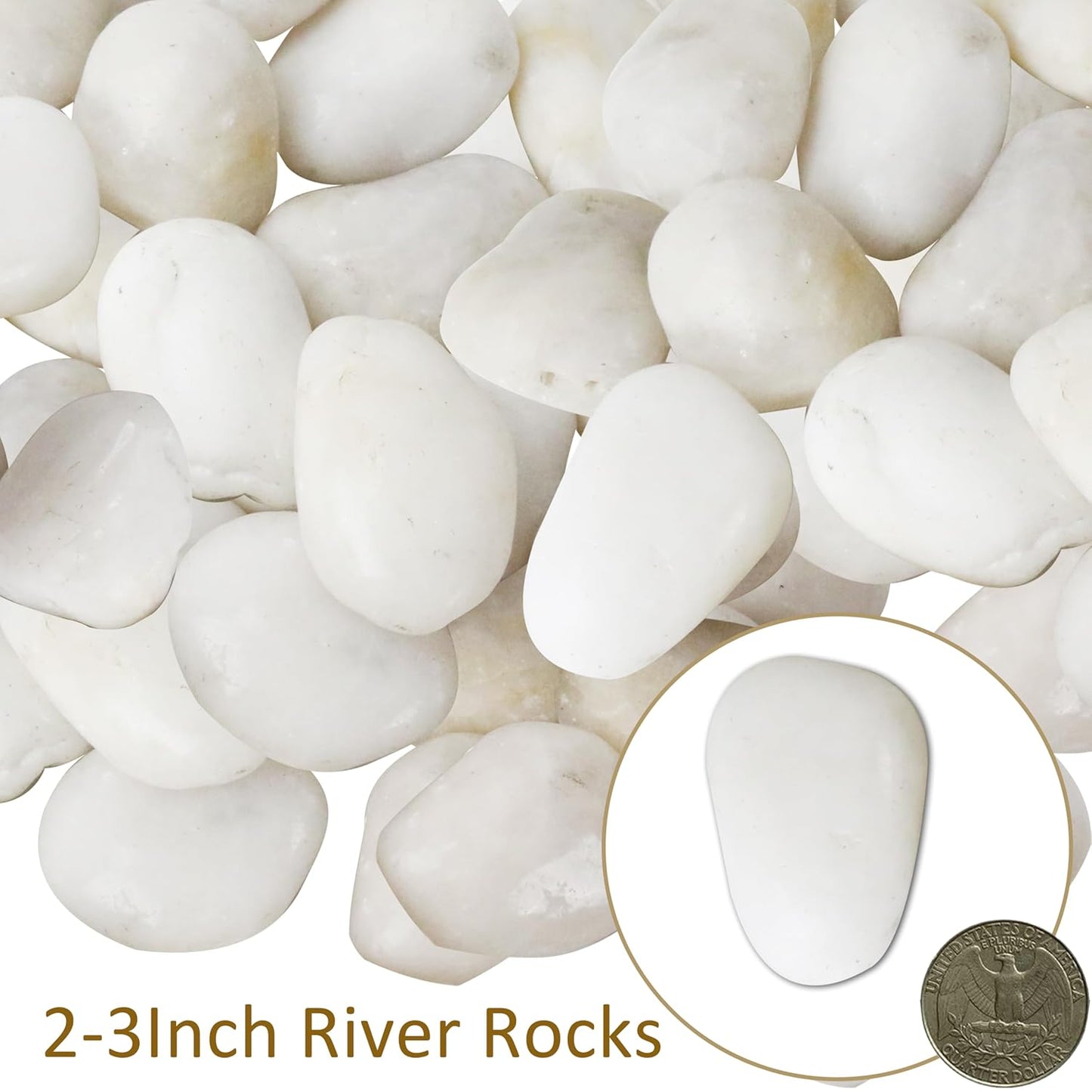 Sunnyglade 5LBS White River Rocks, 2-3 Inch Natural Pebbles for Indoor Plants, High Polished Decorative Stones Vase Filler Fish Tank Aquariums Landscaping Garden Outdoor and Indoor DIY (5 Pounds)