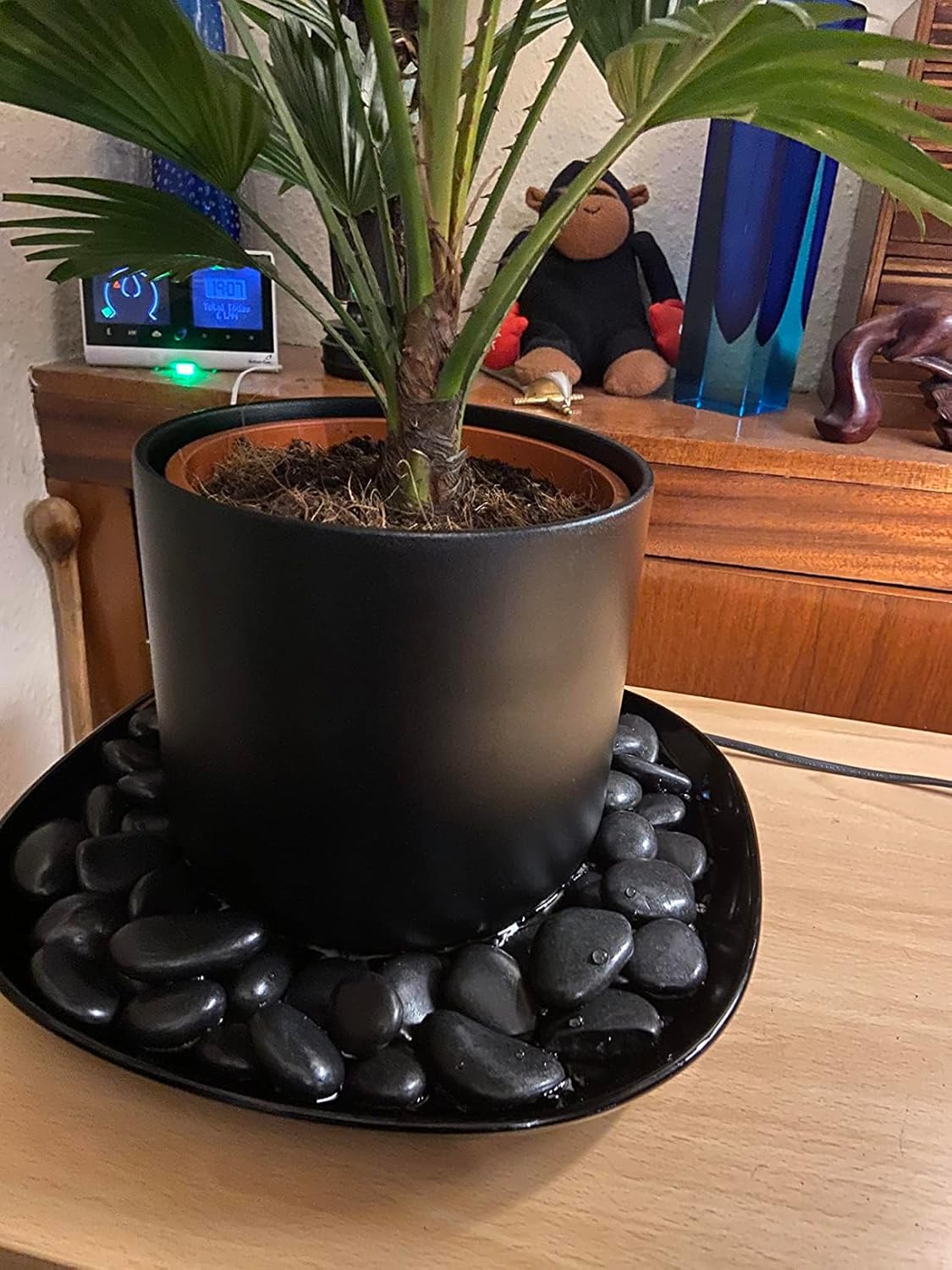 20 lbs Black Pebbles for Plants, 0.8-1.2 inch Small River Rocks for Landscaping, Decorative Stones for Planters Vase Fillers Fish Tank Gravel and Garden Rocks