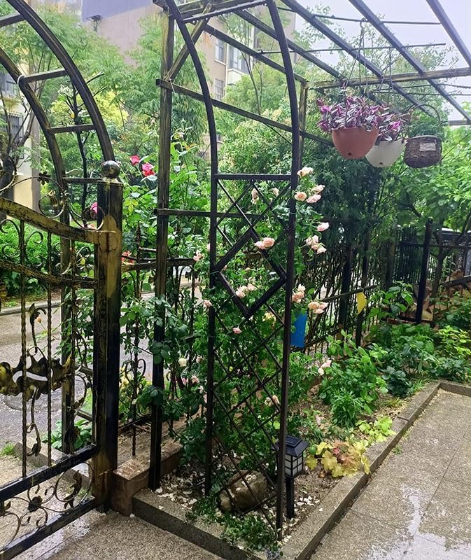Heavy Duty Steel Garden Arbor & Trellis Arch for Grape Vines Climbing Plants Pergola Outdoor Theme Decoration Archway 180cm 260cm 340cm 140cm (Color : Black, Size : 118" W x 91" H)