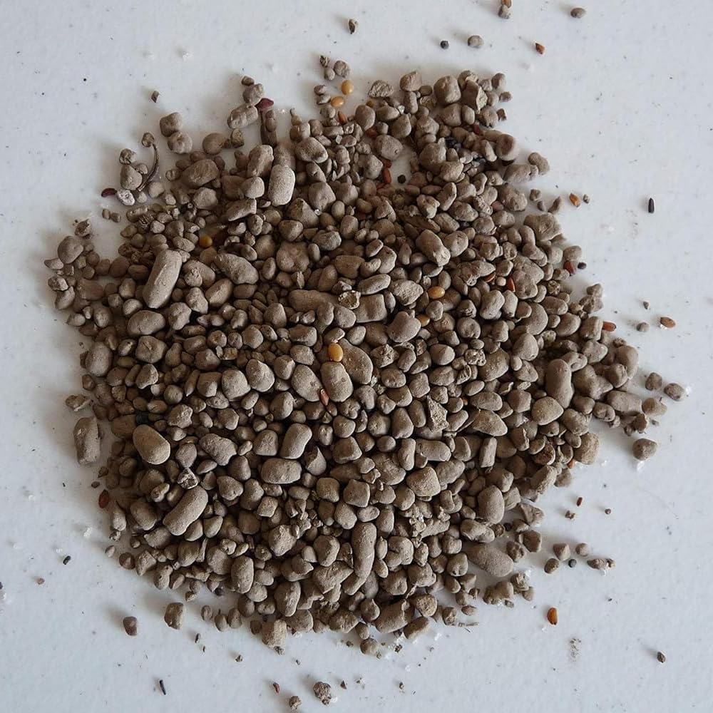 Earth Science Shady Wildflower Mix— 6 lb— 3-in-1 Formula with Premium Wildflower Seeds, Plant Food and Soil Conditioners - Non-GMO, Natural Ingredients