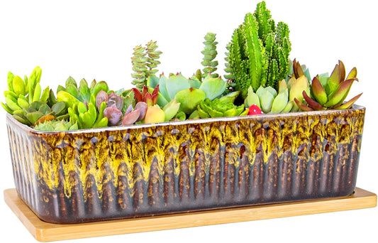 Succulent Pots - 12 Inch Large Succulent Planters with Drainage Tray, Window Sill Planter, Long Rectangle Ceramic Pots for Indoor Cactus Plants Shallow Bonsai Window Box for Home Garden Decor