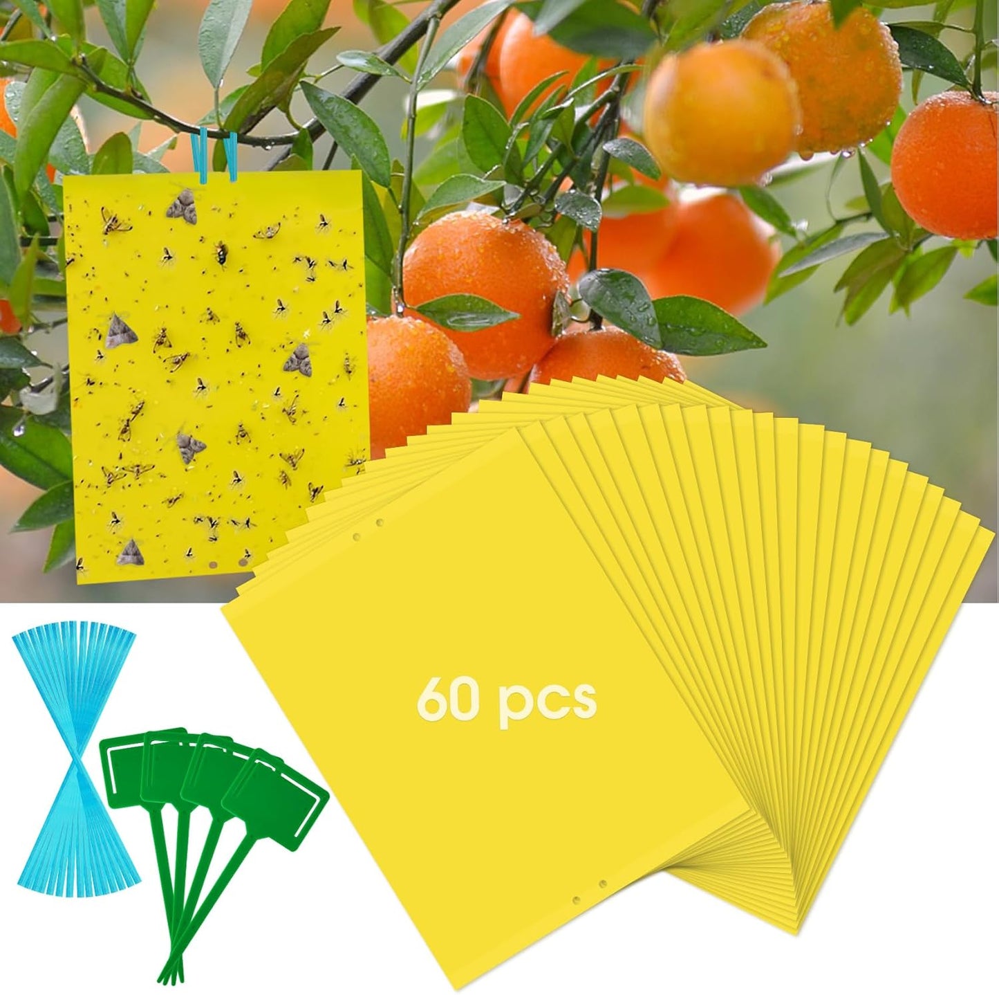 Dwcom 60 Pack Yellow Sticky Traps for Gnats Fruit Fly Traps for Indoors, Fungus Gnat Traps for House Indoor Fly Paper Indoor for Gnats Killer Indoor Trap