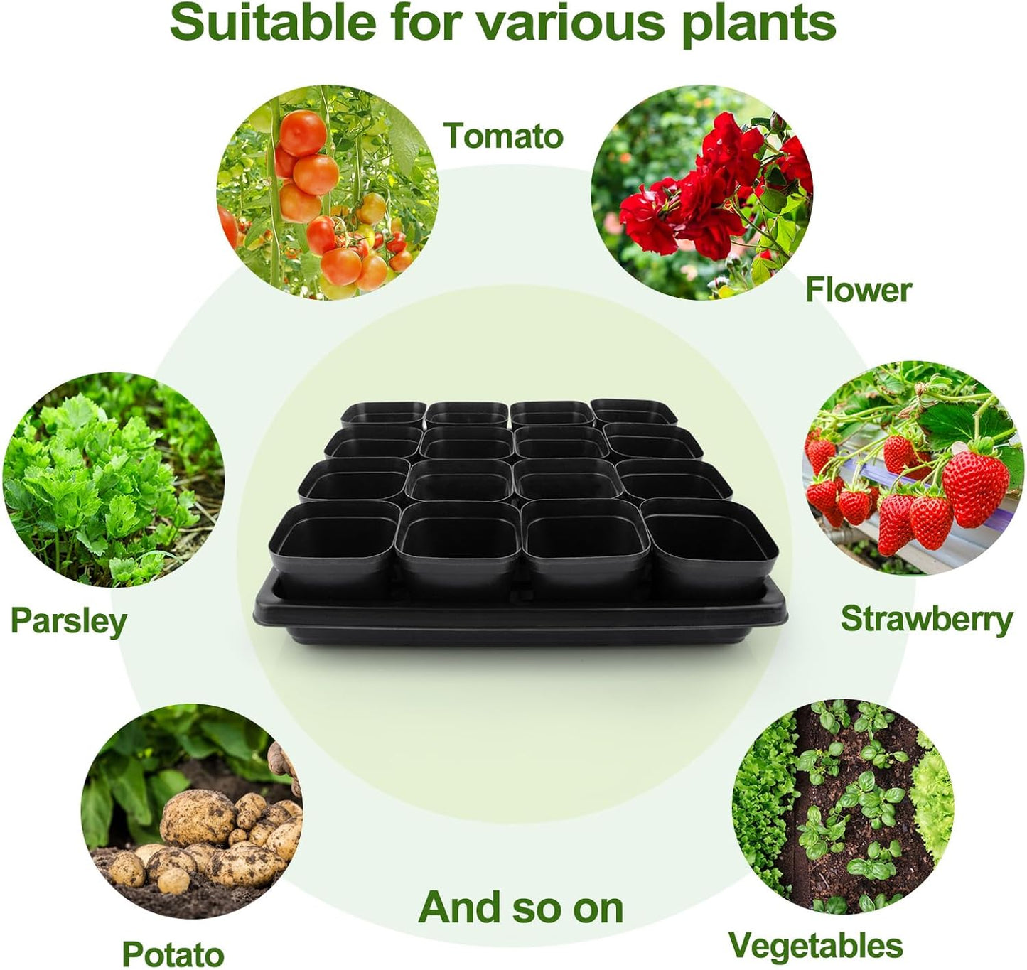 80Pcs 2.5inch Square Nursery Pots with 5Pcs Seed Starting Trays, Seed Starter Tray Kit, Seeds Starting Germination, Seeding Pots with Drain Holes, Small Plant Nursery Propagation