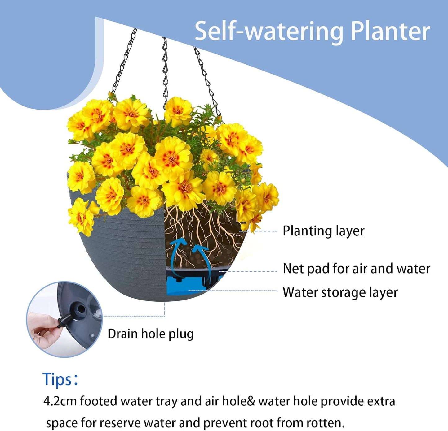 summer flower 2 Pack 9.9 Inch Self Watering Hanging, Deep Planters Hanging Pots for Indoor Outdoor Plants Hanging Baskets Hanging Plant Holder Plant Hanger for Flower Garden Porch Ceiling (Dark Gray)