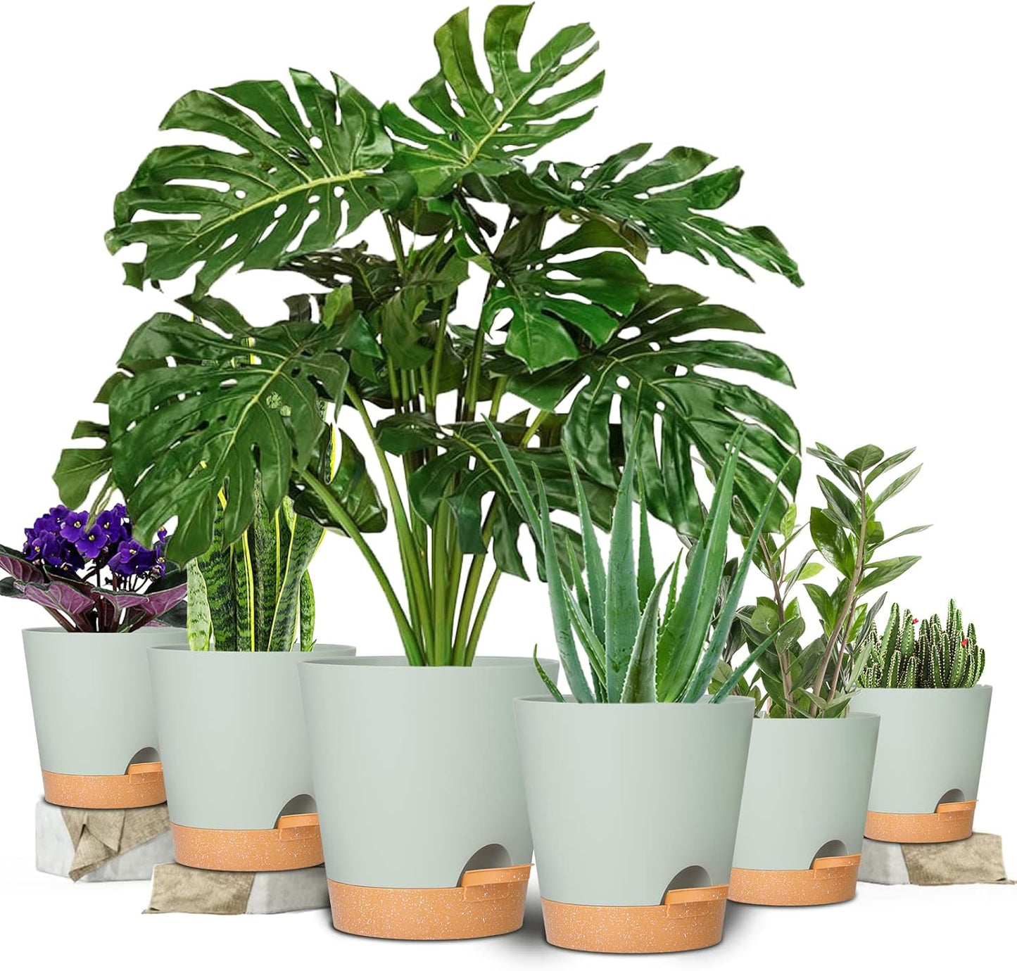 GARDIFE Plant Pots 8/7/6.5/6/5.5/5 Inch Self Watering Planters with Drainage Hole, Plastic Flower Pots, Nursery Planting Pot for All House Plants, African Violet, Flowers, and Cactus,Green