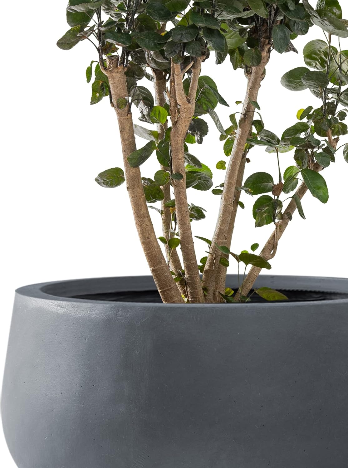 Kante 11.8" Dia Round Concrete Planter, Cement Plant Pots with Drainage Hole and Rubber Plug for Outdoor Indoor Garden Home, Modern Curvaceous Design, Dark Gray
