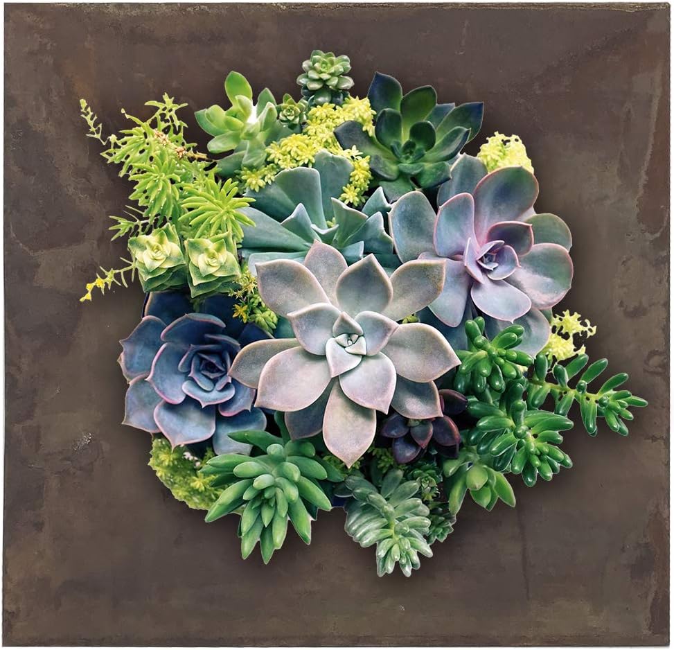 Modern Home Living Wall Galvanized Steel/Zinc Succulent Planter (Rust Zinc, 4 Pocket)