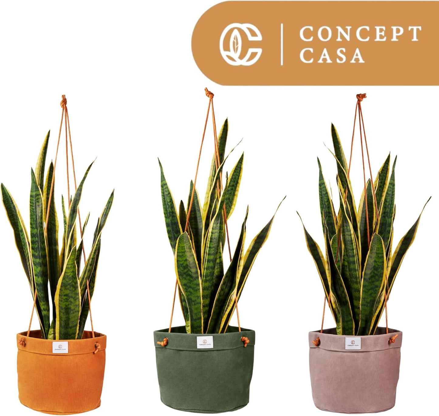 Large Waxed Canvas Handmade Hanging Planter for Indoor/Outdoor Plants, Hanging Basket Plant Holder Dijon Yellow with Hook