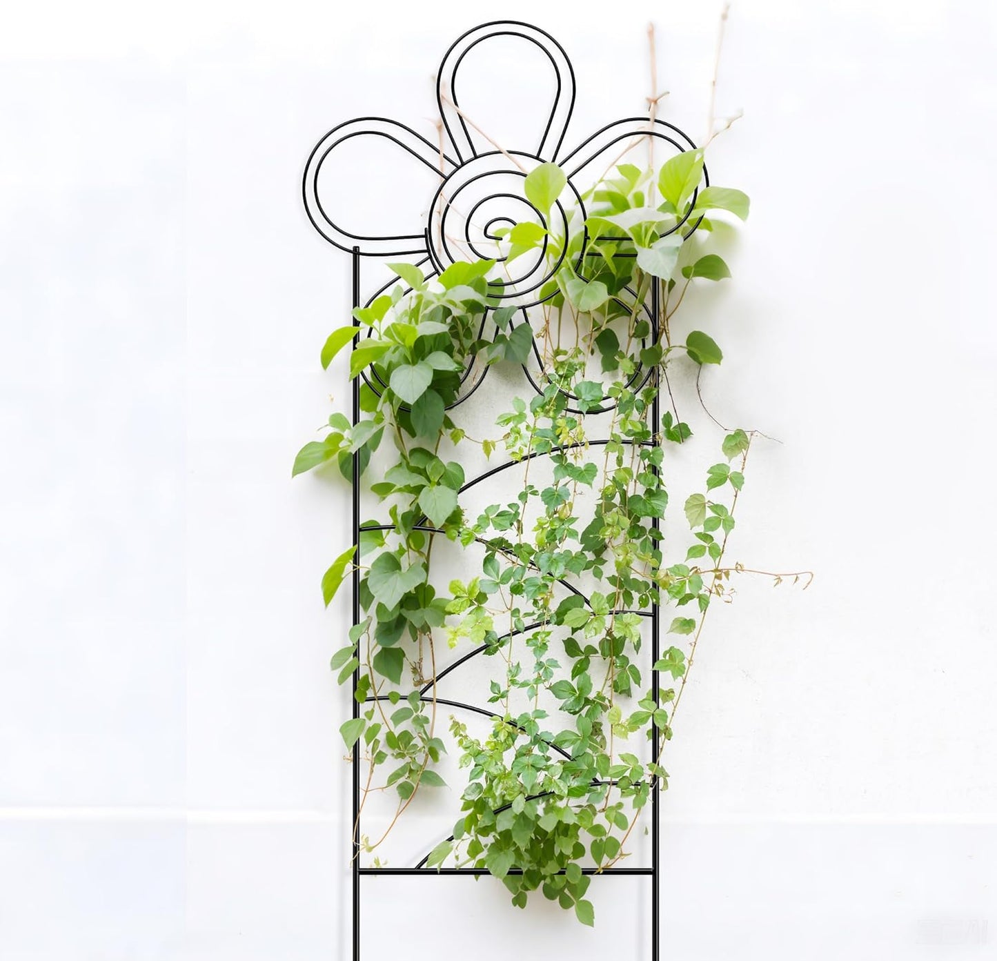 Arifaro Metal Garden Trellis 56″High (Pack of 4) Plant Trellis for Climbing Plants, Outdoor/Indoor Sturdy Plant Trellis for Climbing Vines, Flowers & Garden Plants (Floral)