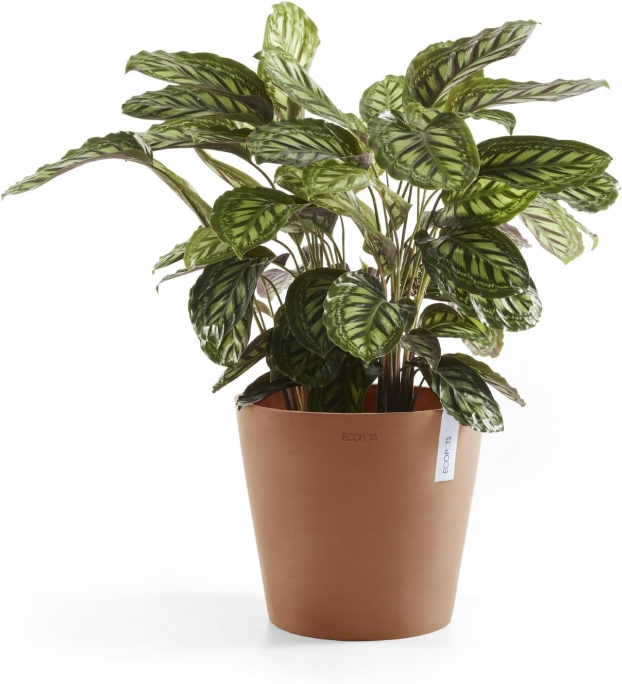 Ecopots Amsterdam Durable Modern Round Indoor/Outdoor Recycled-Based Composite Flower Pot Planter, Terracotta Color, 10"