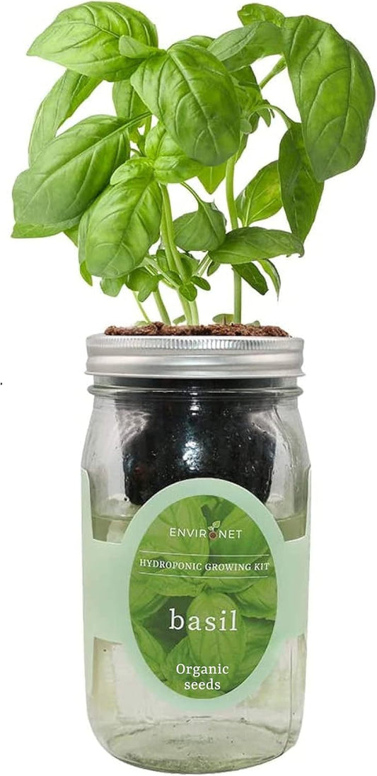 Hydroponic Growing Kit, Self-Watering Mason Jar Herb Garden Starter Kit Indoor, Windowsill Herb Garden, Grow Your Own Herbs from Organic Seeds (Basil)