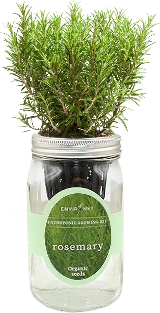 Hydroponic Herb Growing Kit, Self-Watering Mason Jar Herb Garden Starter Kit Indoor, Windowsill Herbs Garden, Grow Your Own Herbs from Organic Seeds (Rosemary)