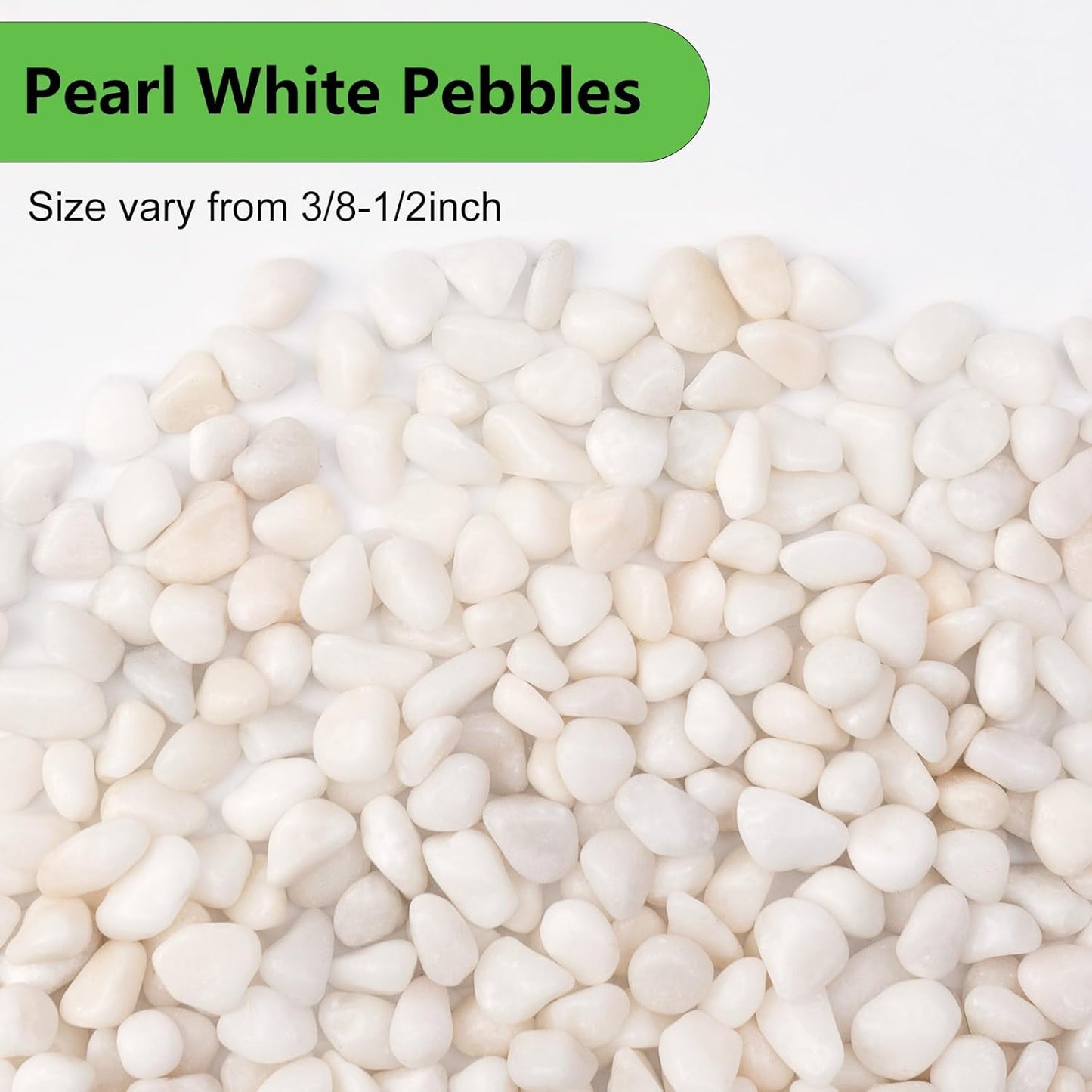 5 lbs White Pebbles for Vases, 3/8" Small Plant Rocks for Pots Indoor, Decorative Pea Gravel for Succulents, Bamboo, Terrarium, Landscape, Garden