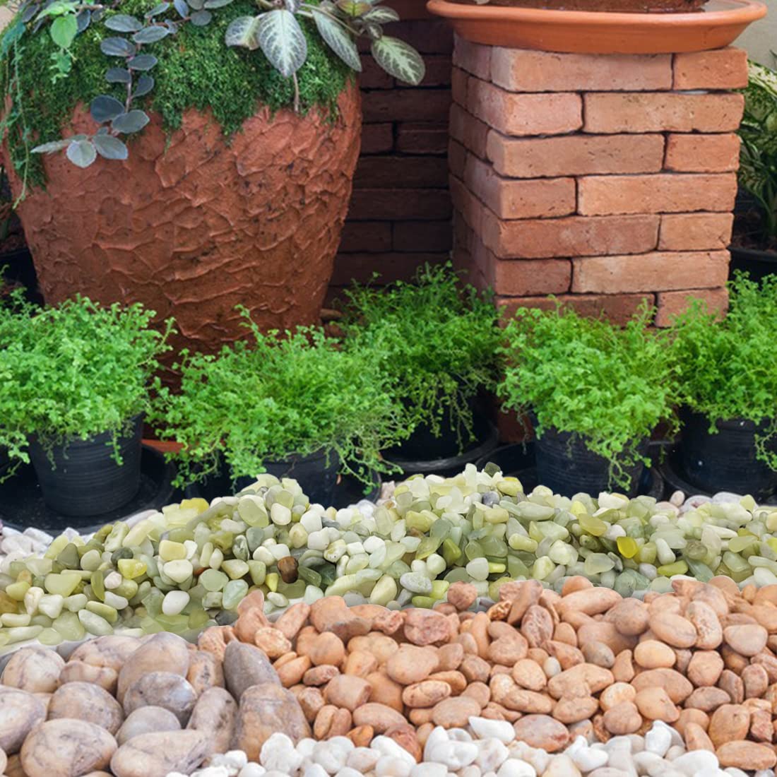 5LB Succulent and Cactus Jade Pebbles, 3/8 Inch Natural Decorative Polished Stones, River Rocks for Indoor Plants, Vases, Planters and Outdoor Gardening