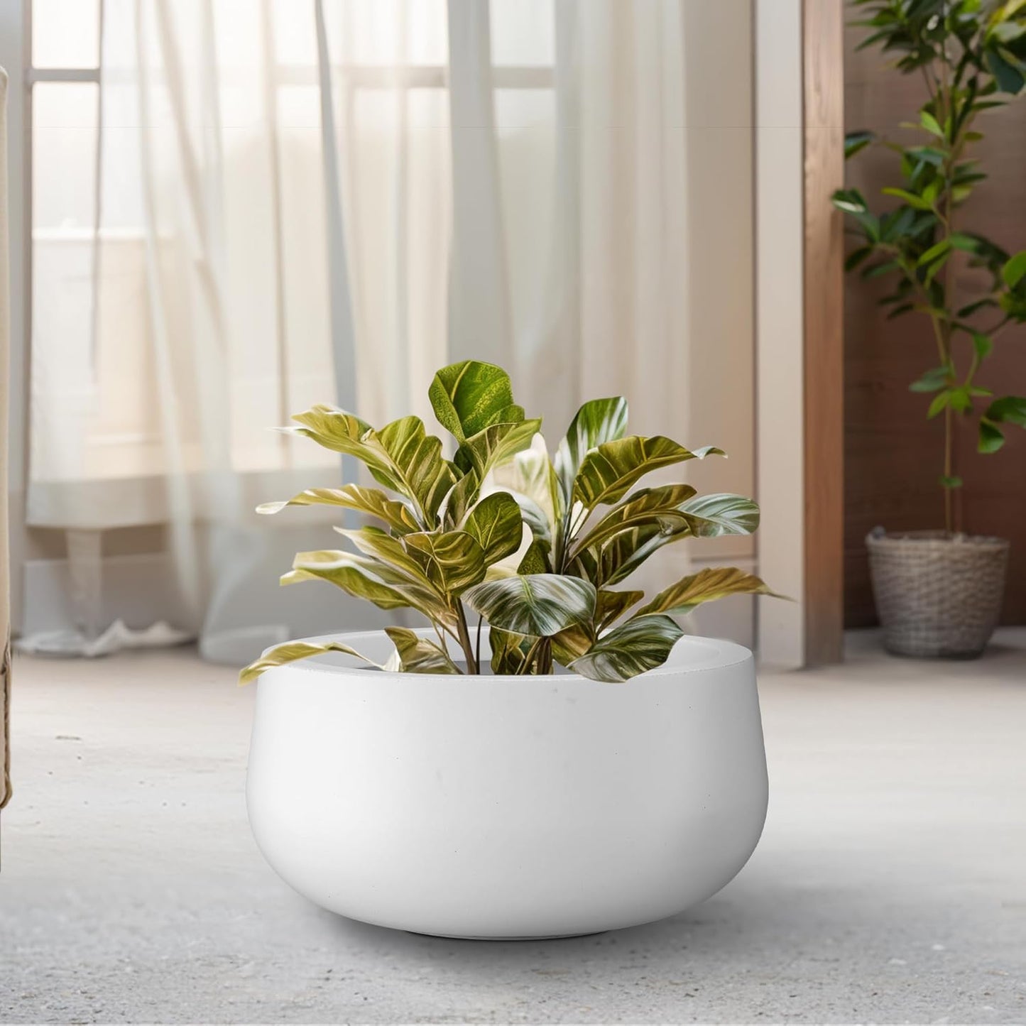 Kante 11.8" Dia Round Concrete Planter, Cement Plant Pots with Drainage Hole and Rubber Plug for Outdoor Indoor Garden Home, Modern Curvaceous Design, Pure White