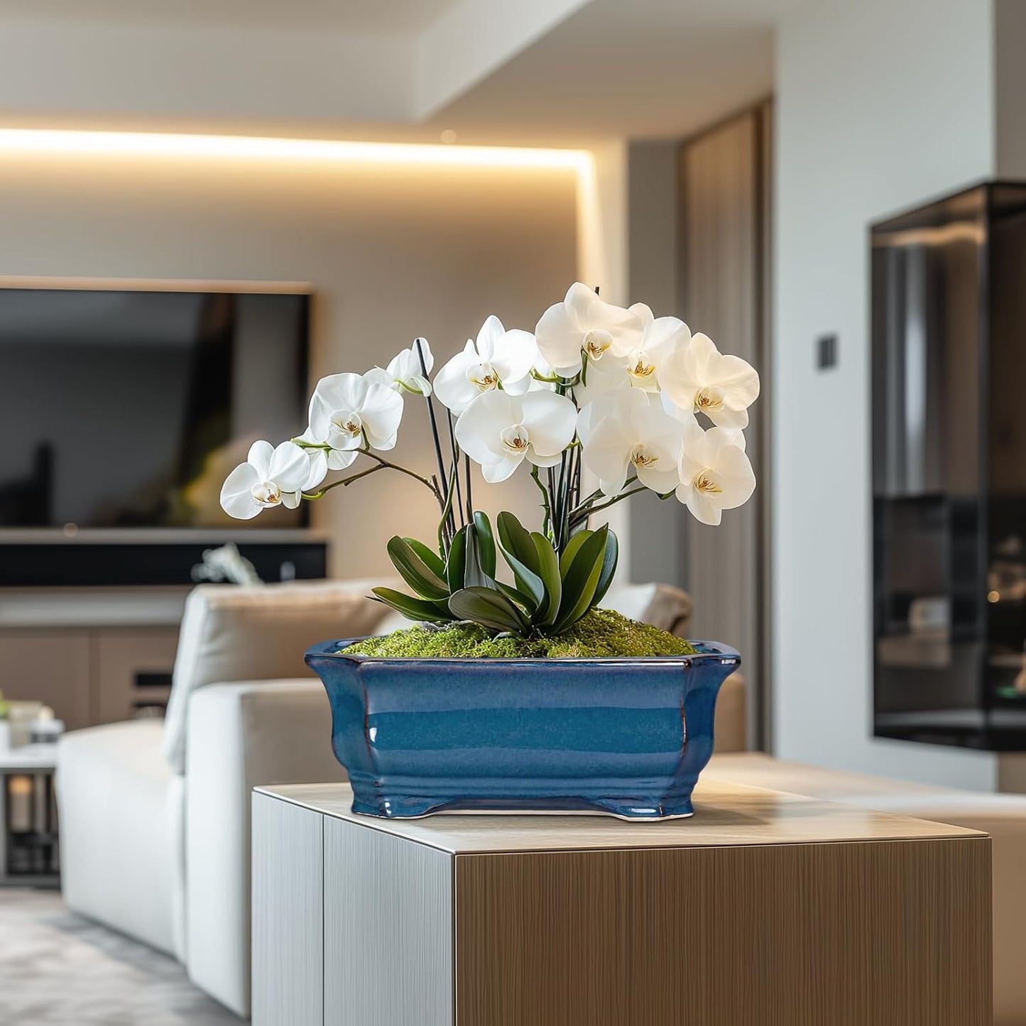 Bonsai Tree Pot - 13.7 Inch Large Ceramic Succulent Planter for Indoor Outdoor, Rectangle Plant Pot with Drainage Hole, Decorative Flower Pots, Home Decor, Gifts for Plant Lovers, Retro Blue