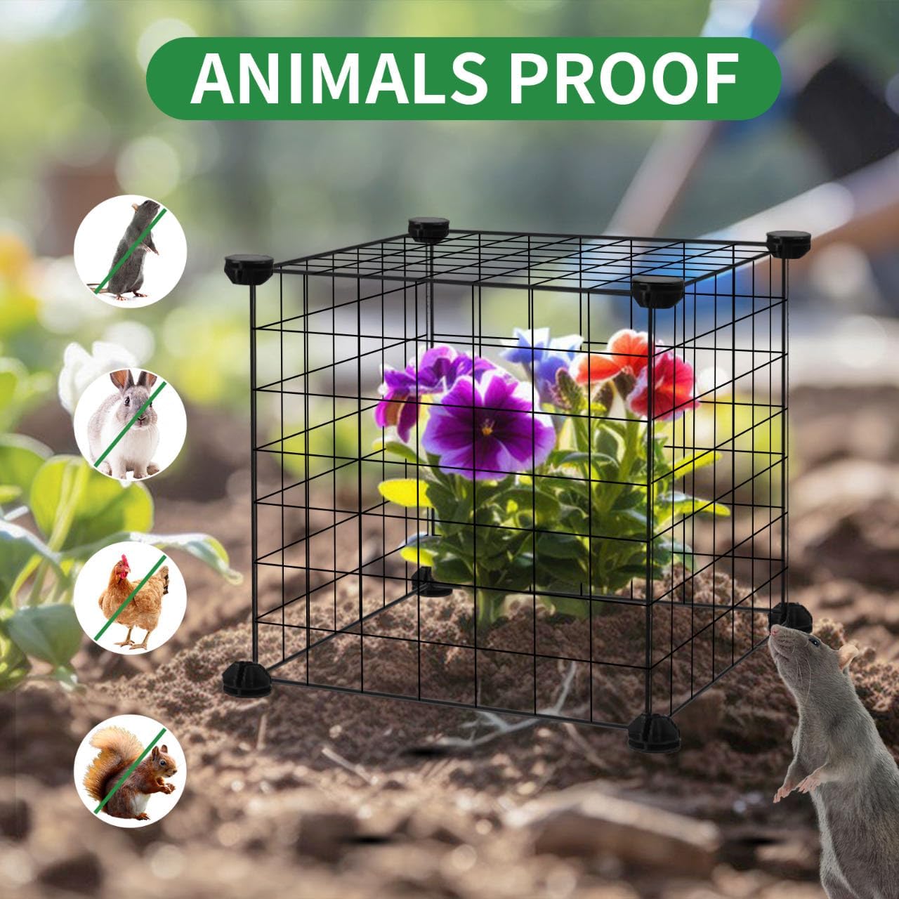 DYAUS 2 Packs Plant Protectors from Animals, Metal Plant Protector, 12" x 12" Plant Cage Outdoor, 10Pcs Metal Mesh Chicken Wire Cloche, Sturdy Plant Covers from Animals, Garden Cloches for Plants