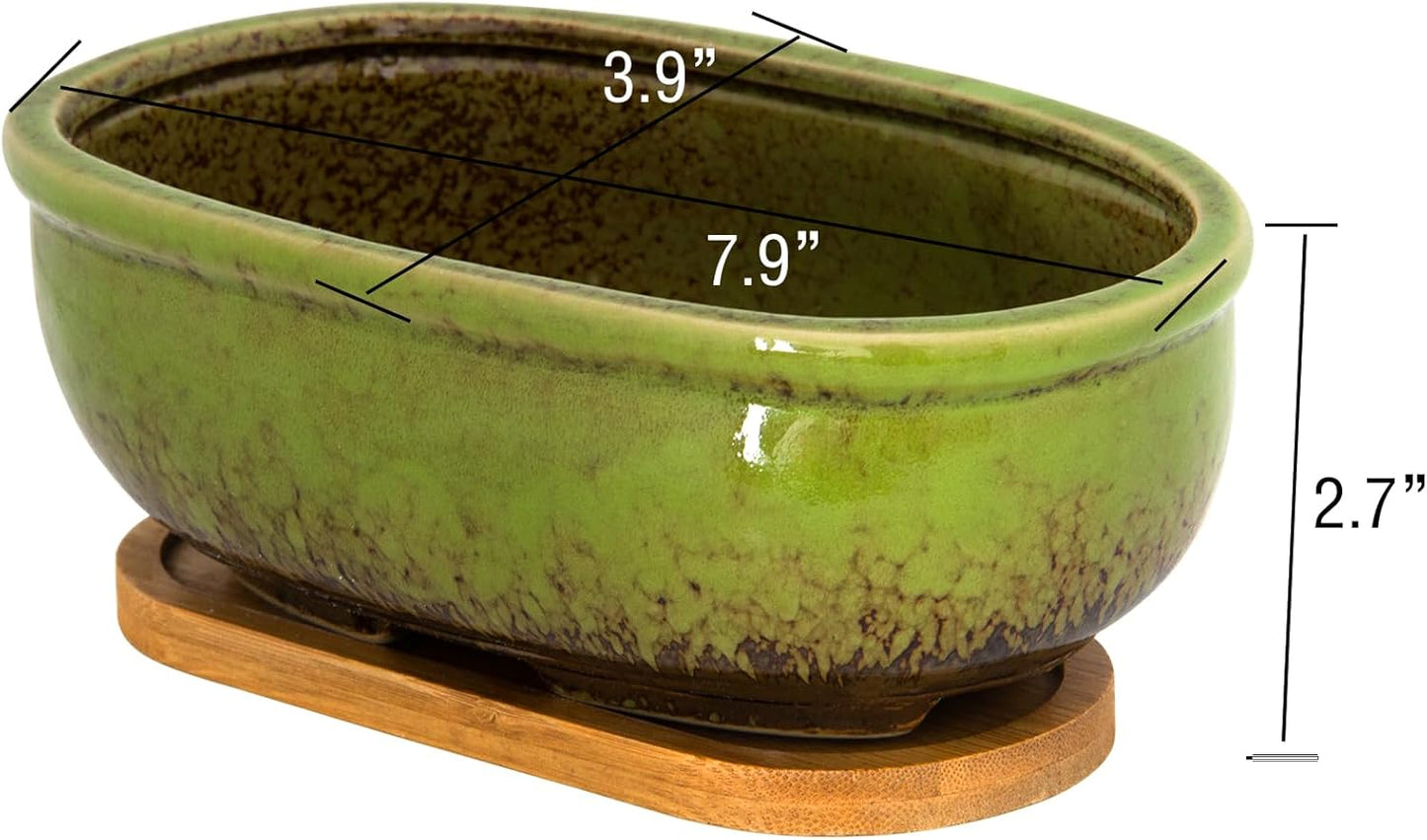 Succulent Pots, 7.9 Inch Long Rectangular Succulent Planters with Drainage Tray, Shallow Planters for Indoor Plants Ceramic Cactus Pots Glazed Bonsai Flower Plant Container for Home Windowsill Decor
