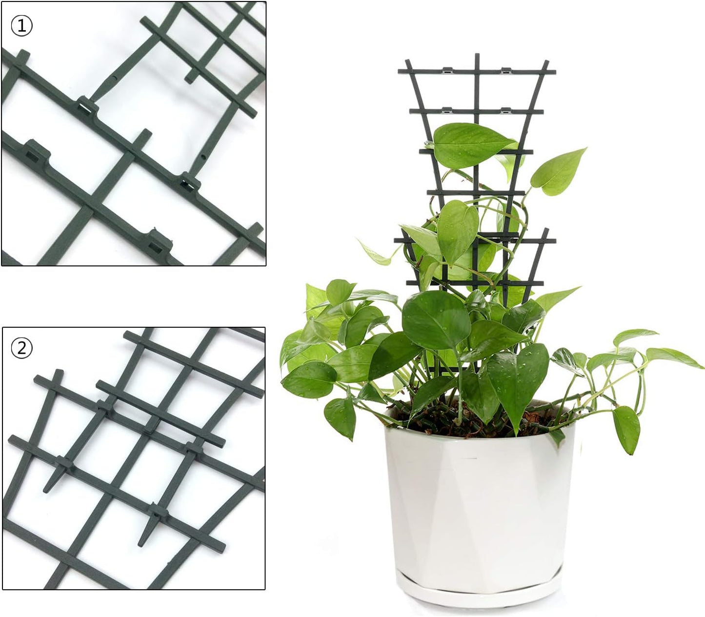 Plant Trellis Indoor, 6Pcs Stackable Plant Trellis for Climbing Plants Indoor, Small Plant Climbing Trellis for Potted Plants Plastic Climbing Plant Support Trellis for Houseplant Hoya Pothos