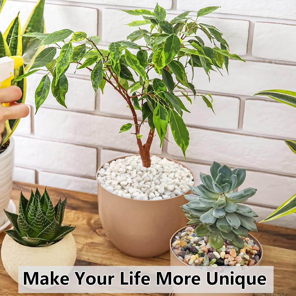 5LB Succulent and Cactus Gravel Pebbles, 3/8 Inch Natural Decorative Polished Stones, River Rocks for Plants, Vases, Aquariums, Terrarium and Outdoor Gardening, White