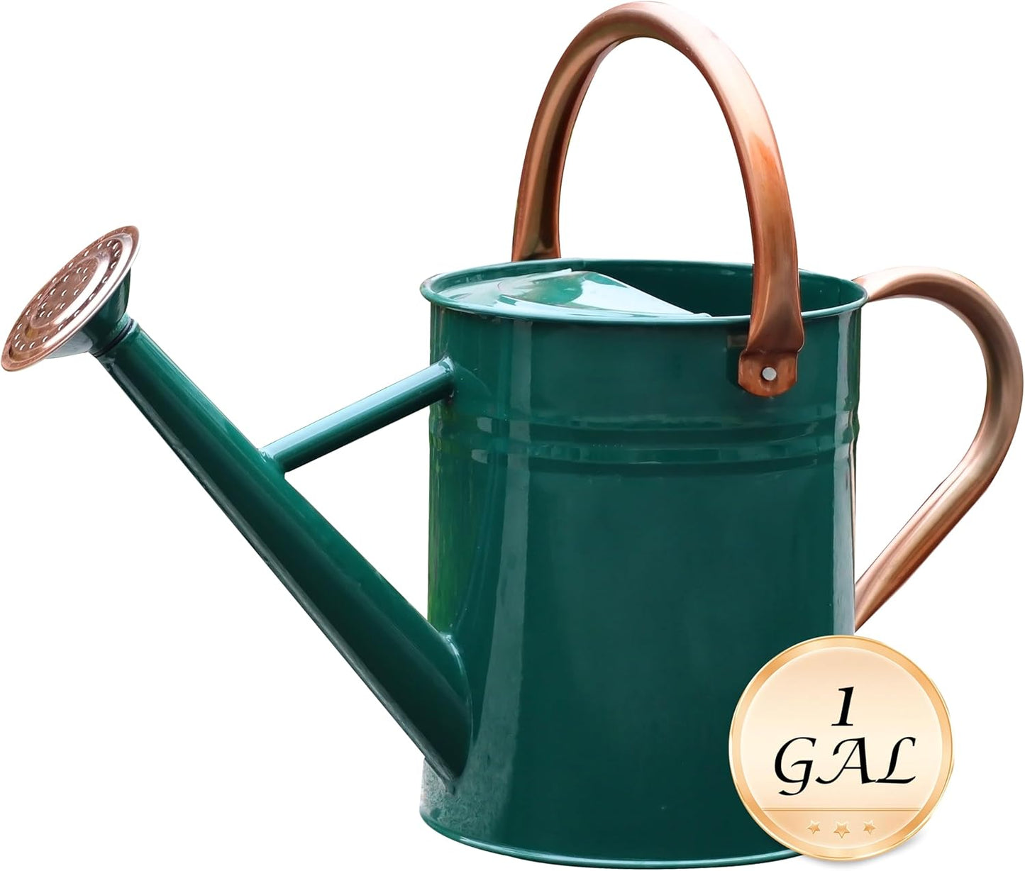 Metal Watering Can for Outdoor and Indoor Plants, Watering Can Decor, 1 Gallon (NewGreen)