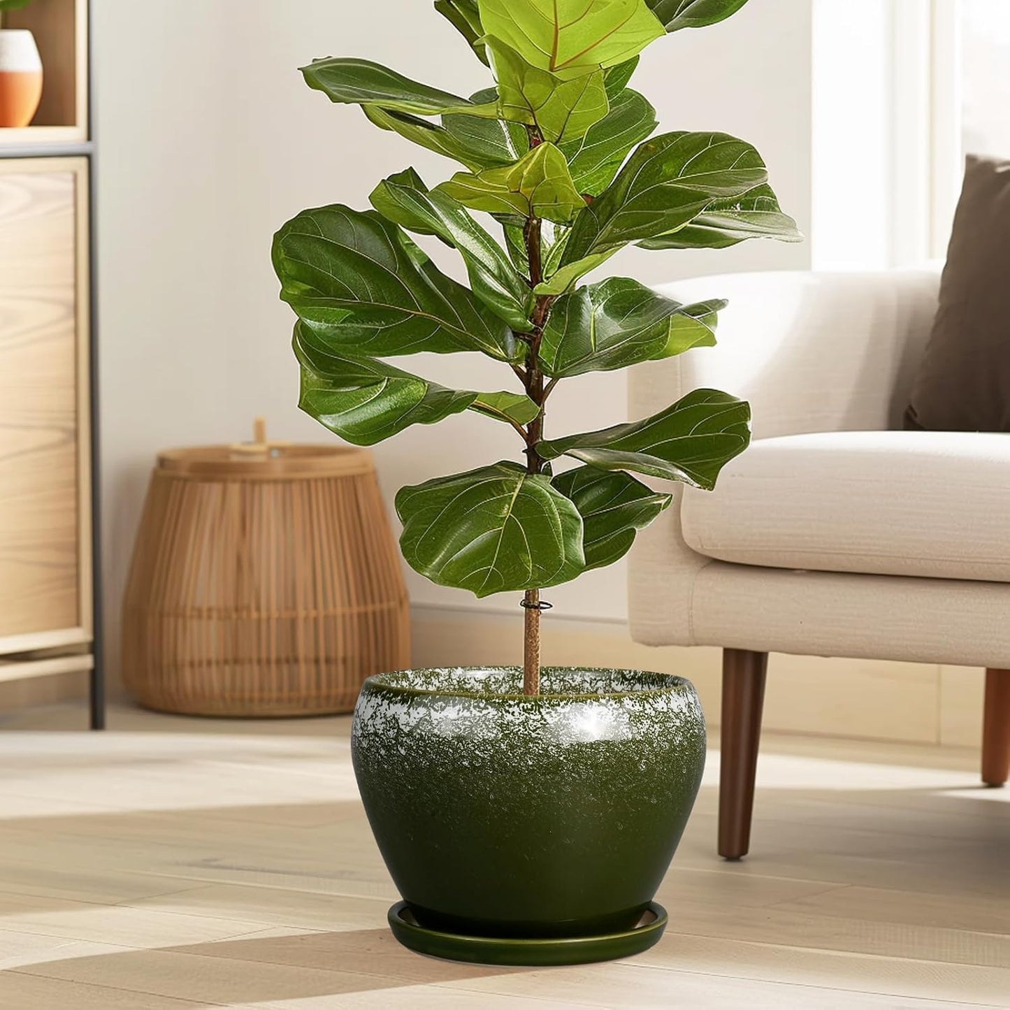 8 Inch Plant Pot - Ceramic Planter with Drainage Hole and Saucer, Modern Flower Pot for Glazed Indoor Plants Outdoor, Dark Green