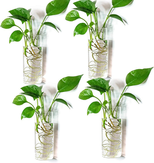 Kingbuy Glass Tube Wall Planter Propagation Station - 4 Pack Terrarium Cylinder Wall Vase with Plant Holder Hydroponic Planter for Home Kitchen Office Decor, Perfect Plant Lover Gifts (Short Cylinder)