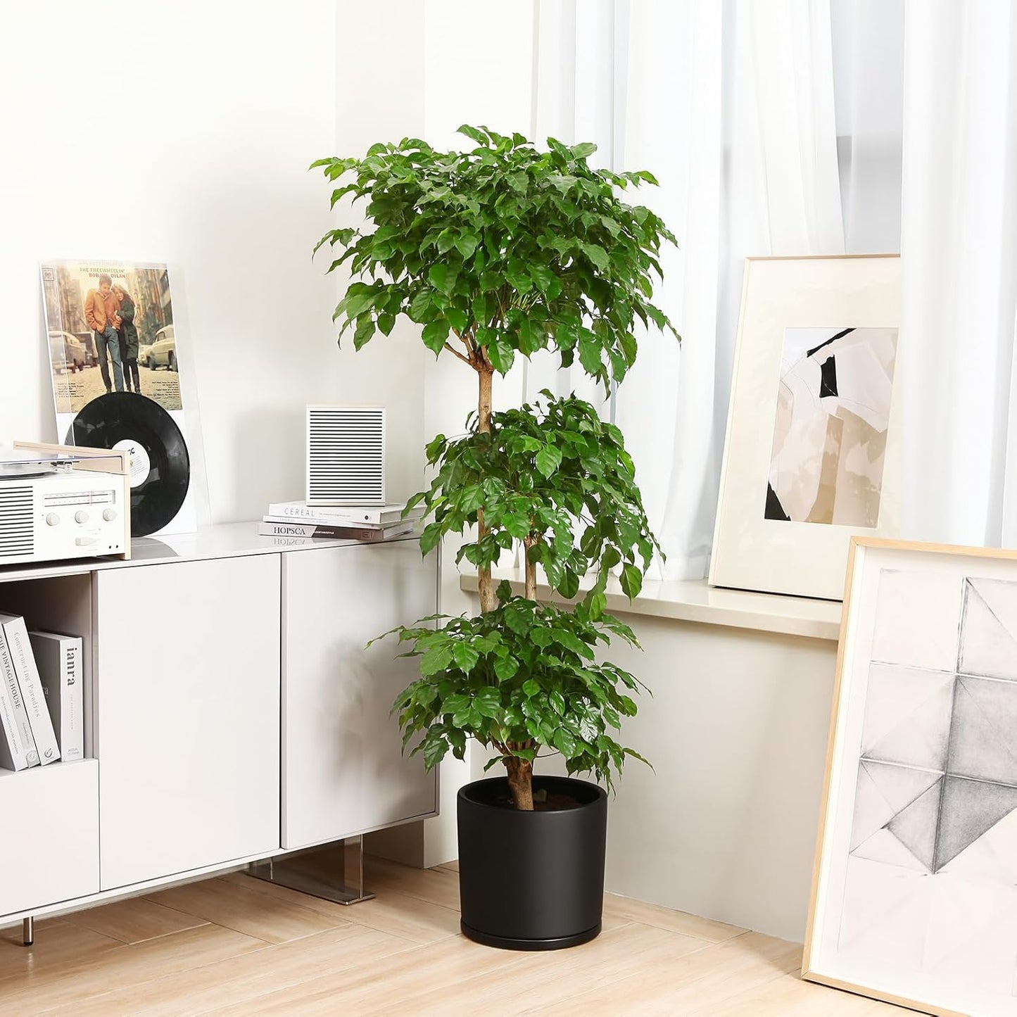 Kazeila 12 Inches Ceramic Planter Pot - Saucer and Drainage Hole - Full Glazed - Matte Black