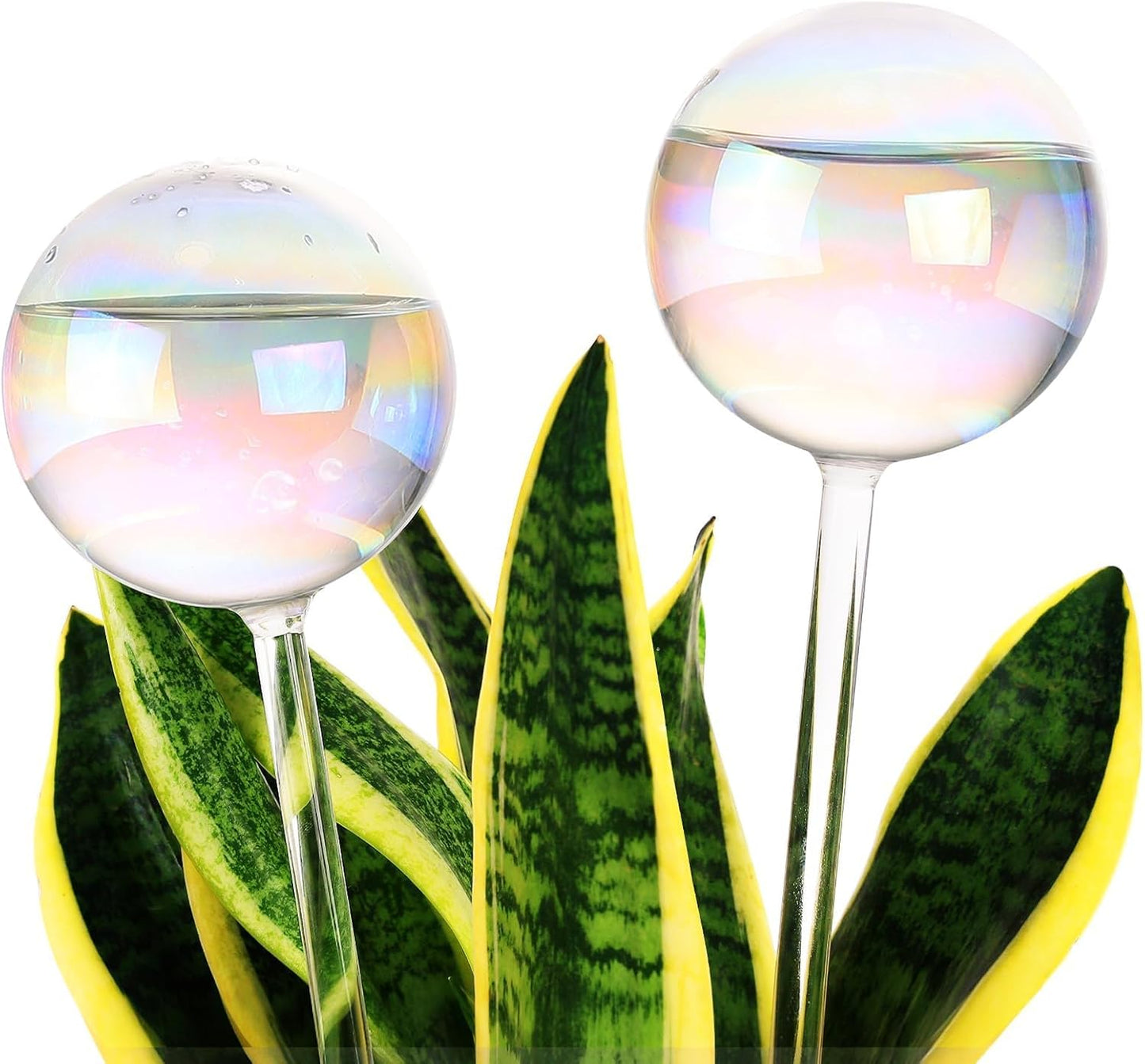 13 oz Up 2 Weeks Extra Large Plant Watering Globes, Iridescent Rainbow Glass Water Bulbs, Self Watering Planter Insert, Vacation Plant Watering Devices System, Automatic Plant Waterer, 2 Pack