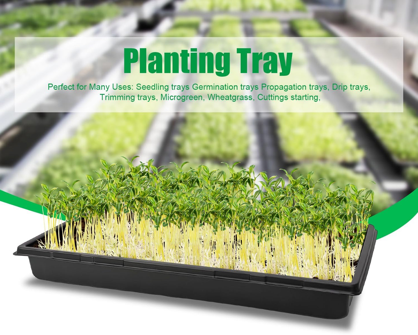 10 Pack 1020 Trays, Extra Thick Heavy Duty Seed Starting Trays - No Holes, No Leak, Reusable Propagation Flats for Microgreens, Seedlings, Plant Germination, Fodder and Transplant