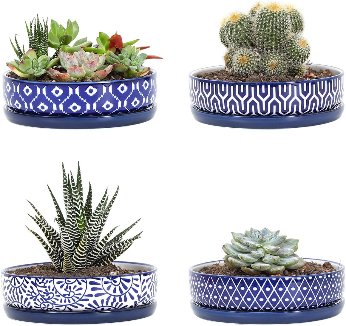 Selamica Ceramic Succulent Pots with Drainage Hole & Saucer for Cactus, Herb, Home Decor, Set of 4, Blue