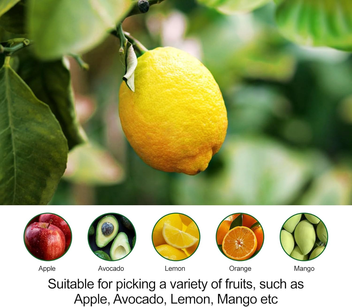 Fruit Picker Pole with Basket - 10.7FT(130Inch) Adjustable Fruit Picker with Basket, Orange Picker, Fruit Picking Pole for Orange Apple Avocados Lemon, Black