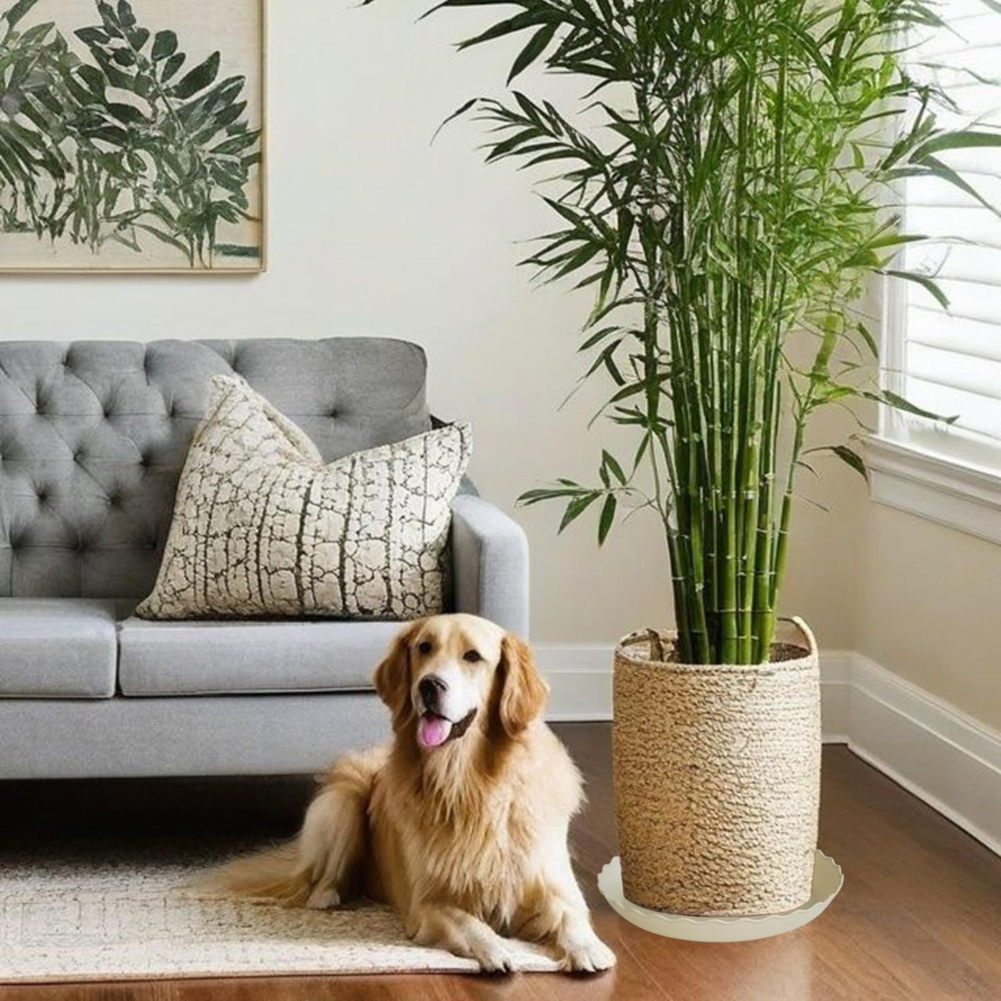 2 Pack of 14 inch Plant Saucer Plant Tray, Plastic Plant Saucer, Heavy Duty Plant Tray for Pots, Plant Saucers for Indoors Planter, Garden Water Plate Bowls for Gallon Grow Bags (Beige)